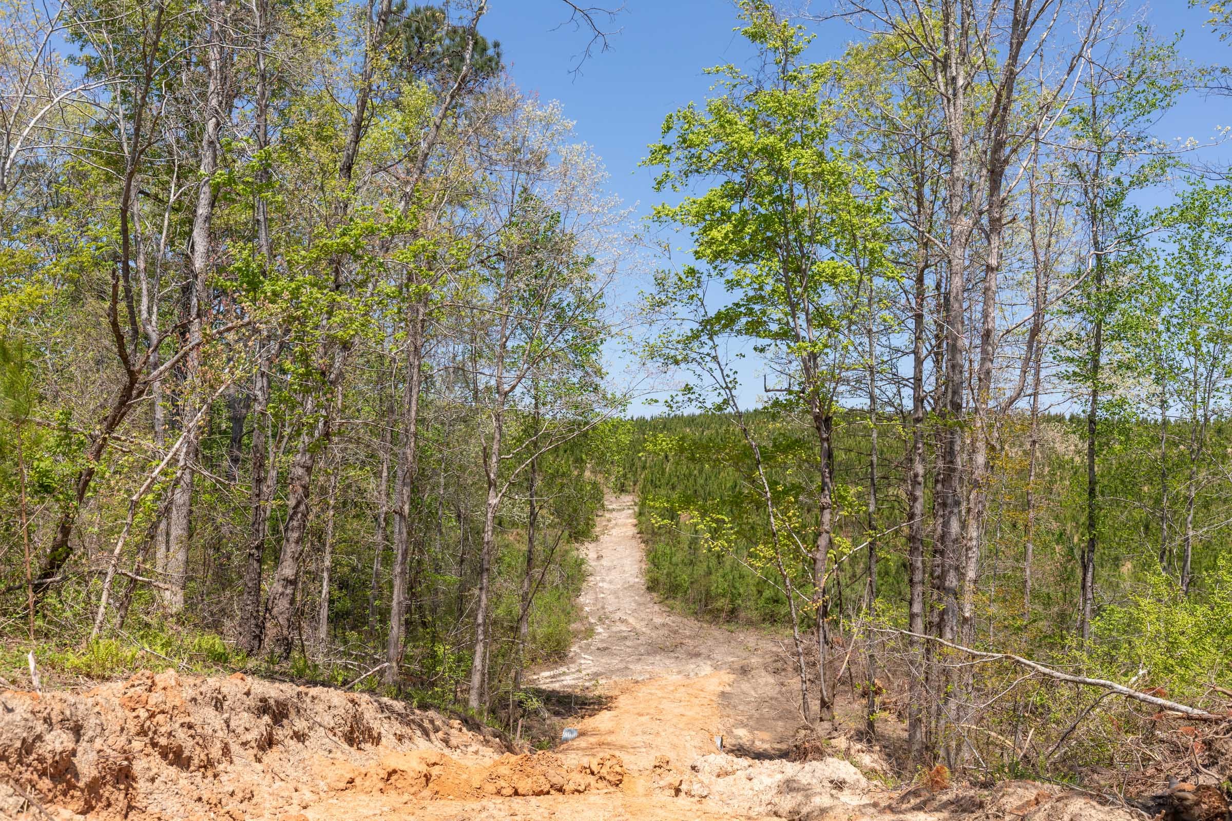 Clear Wood Tract 44 photo 25