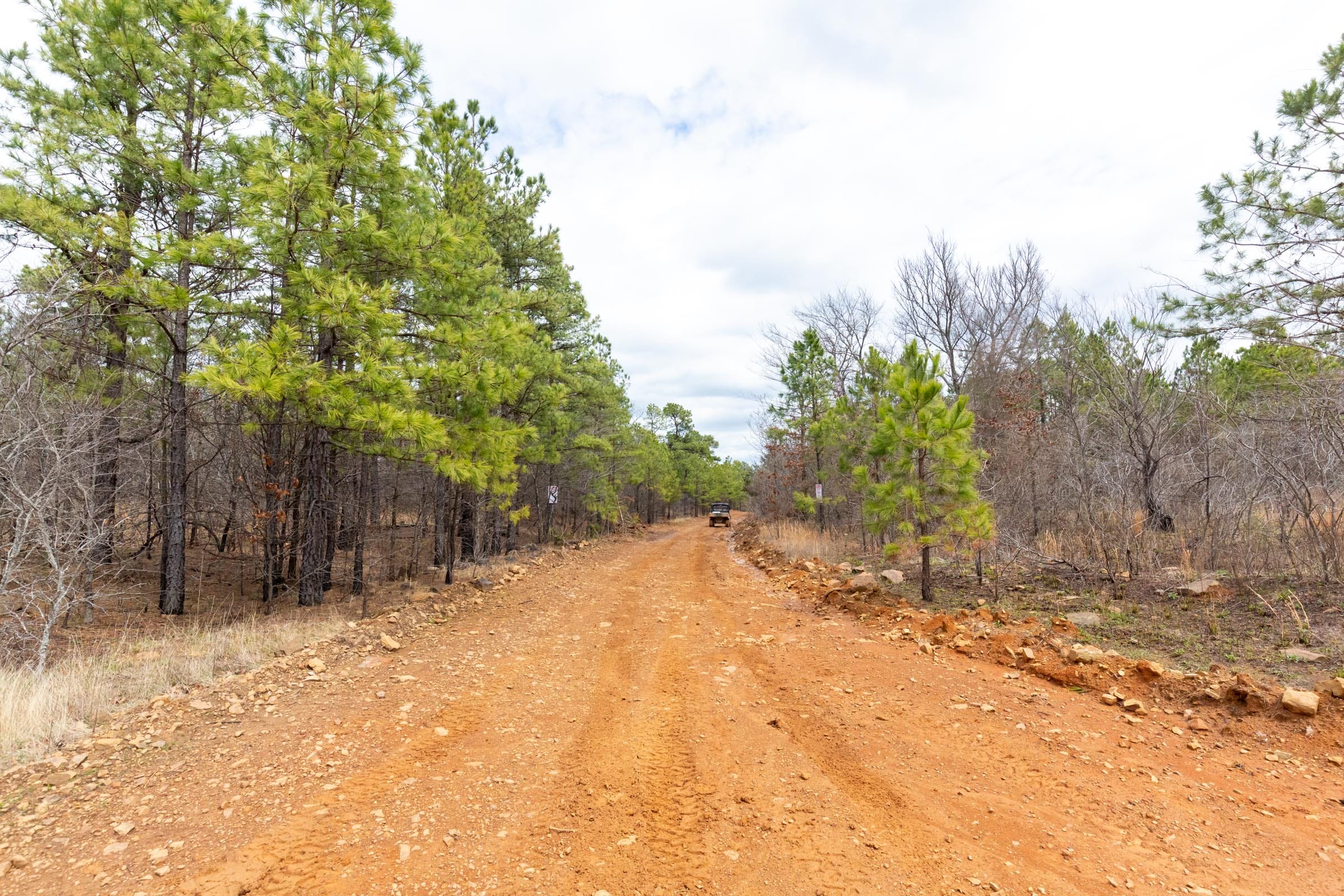 Stone Bridge Phase III Tract 175 photo 1