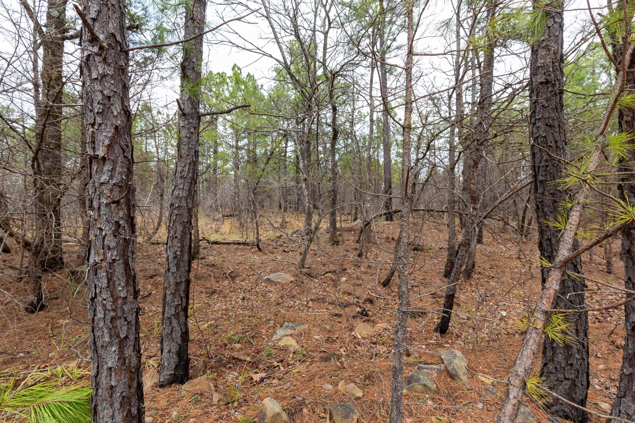 Stone Bridge Phase III Tract 175 photo 3