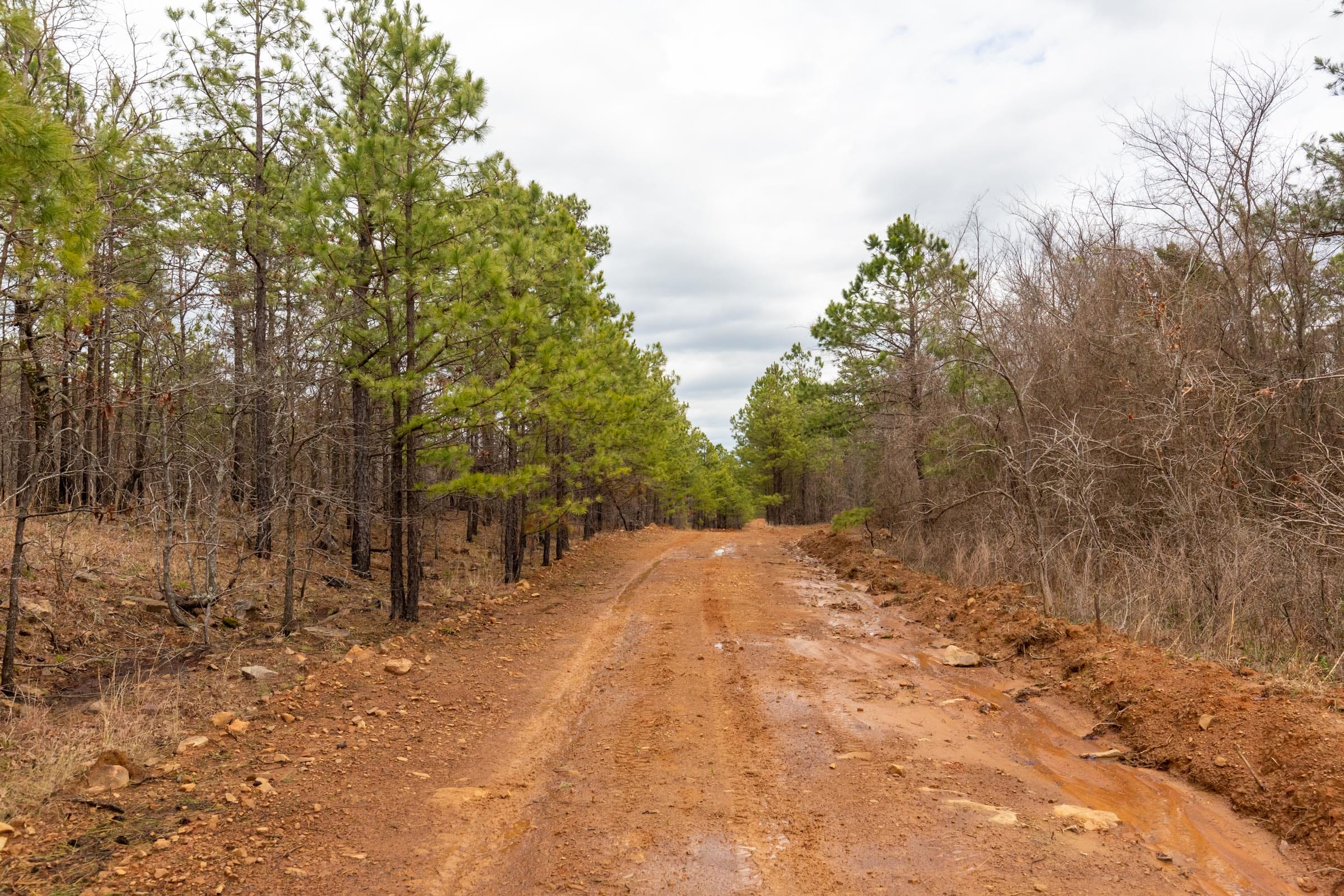 Stone Bridge Phase III Tract 175 photo 8
