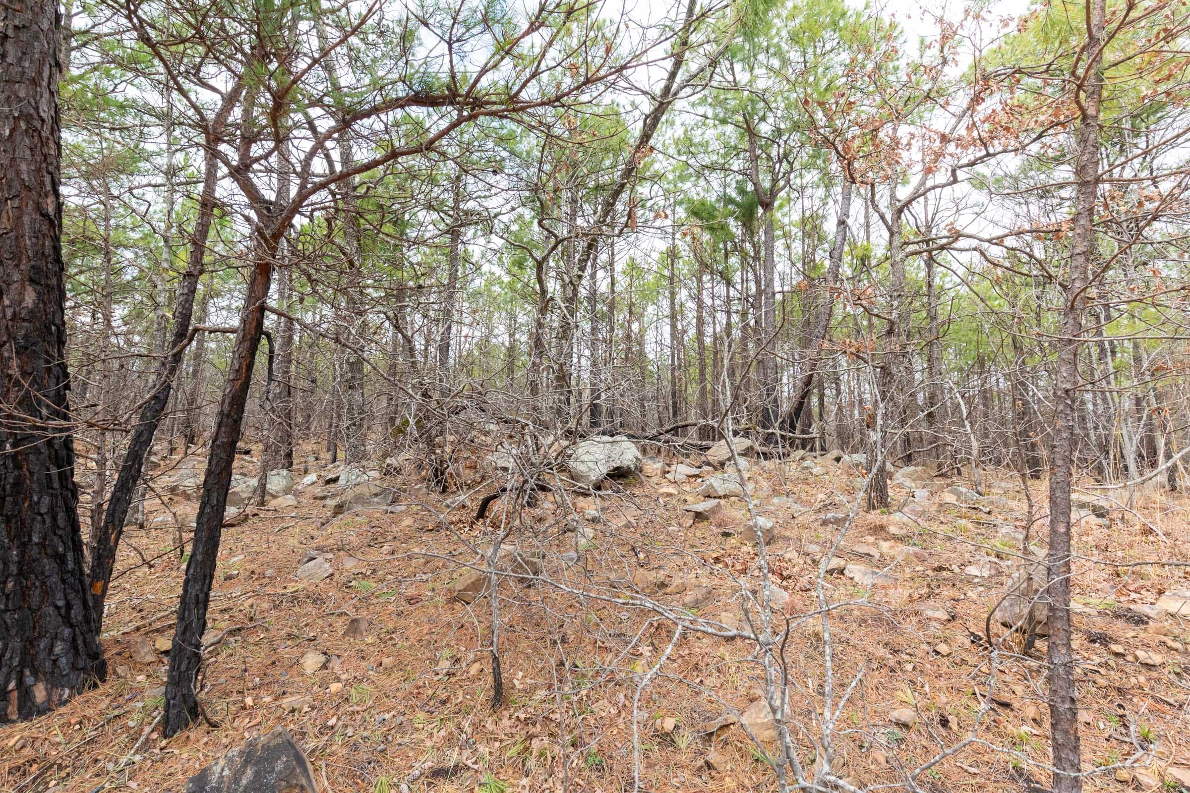 Stone Bridge Phase III Tract 175 photo 5