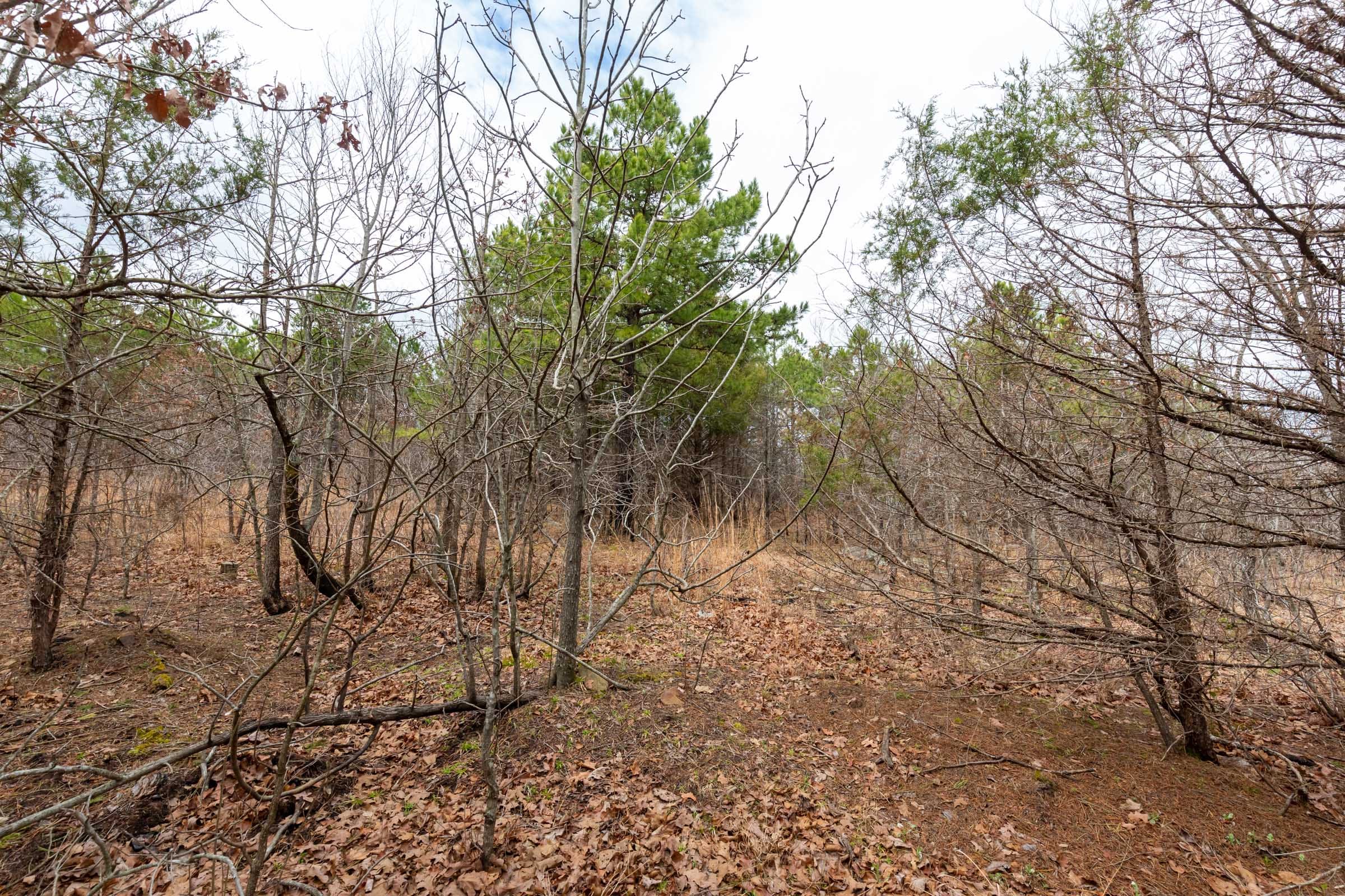Stone Bridge Phase III Tract 175 photo 10