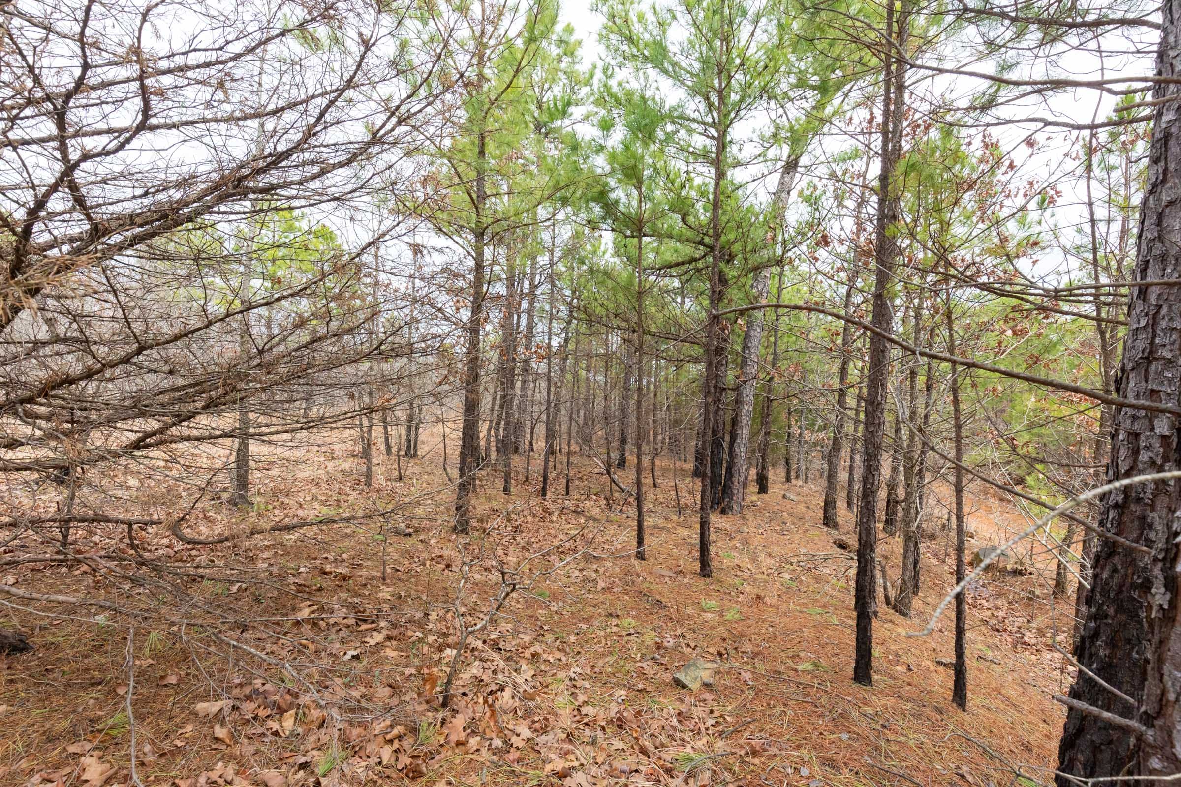 Stone Bridge Phase III Tract 175 photo 11