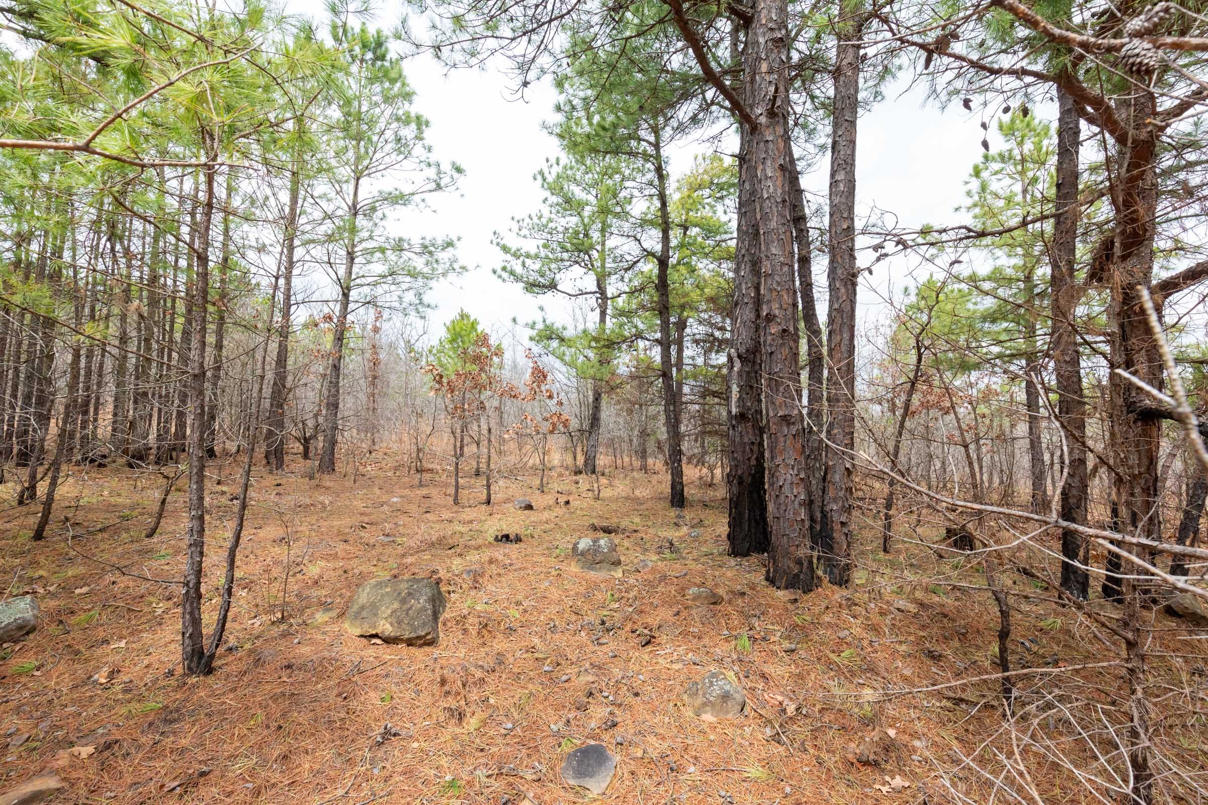 Stone Bridge Phase III Tract 175 photo 12