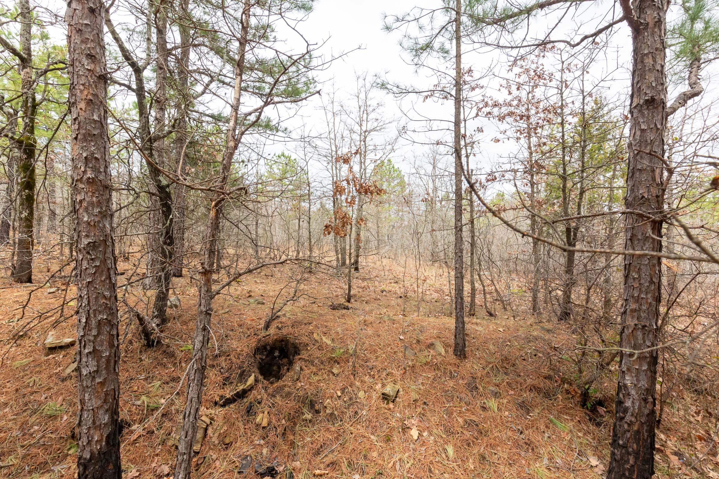 Stone Bridge Phase III Tract 175 photo 13
