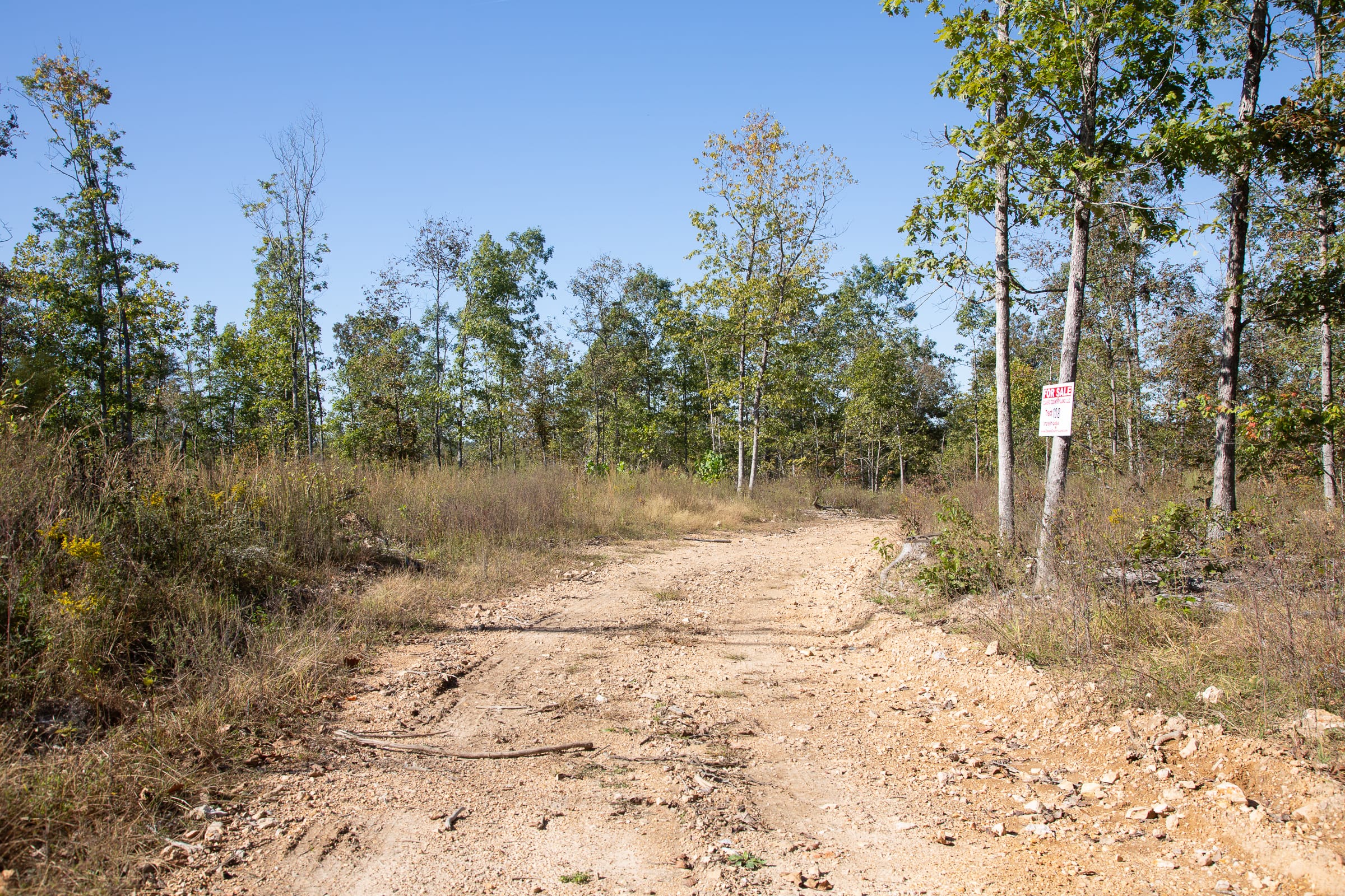 Borgmann’s Hollow Phase IV Tract 108 photo 1