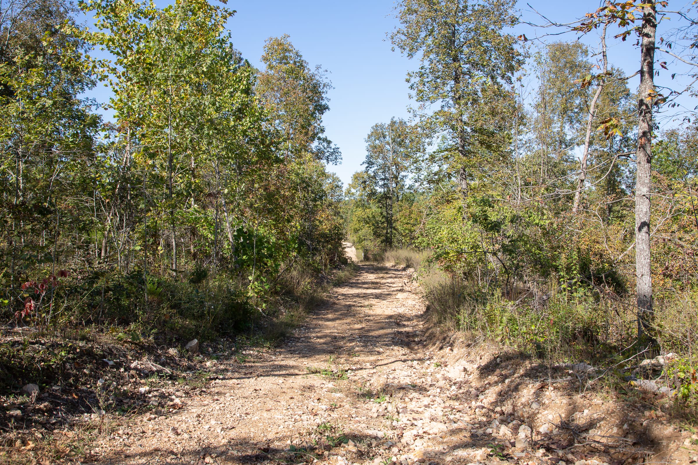 Borgmann’s Hollow Phase IV Tract 108 photo 4