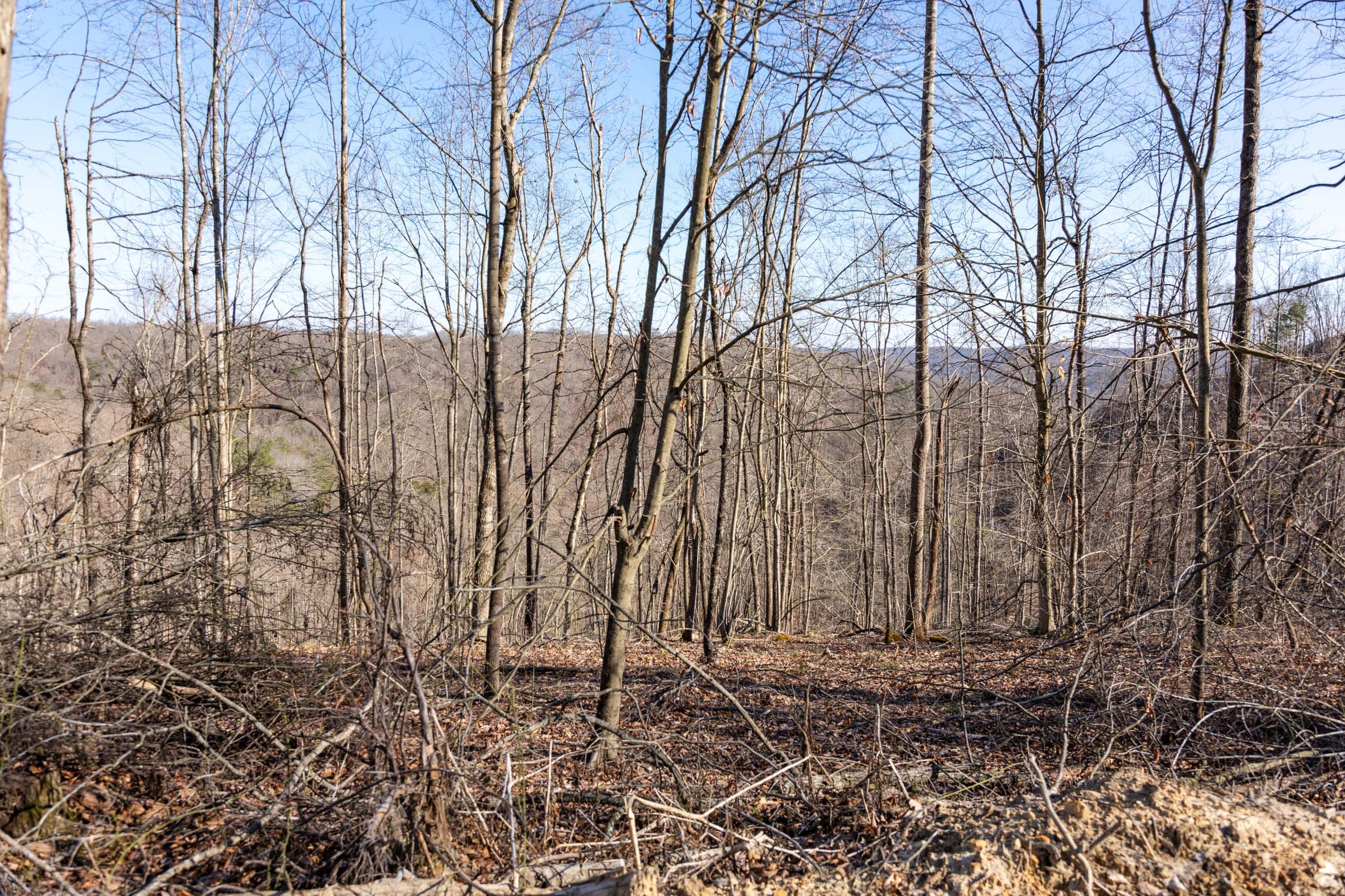 Creek Hollow Phase I Tract 18 photo 2