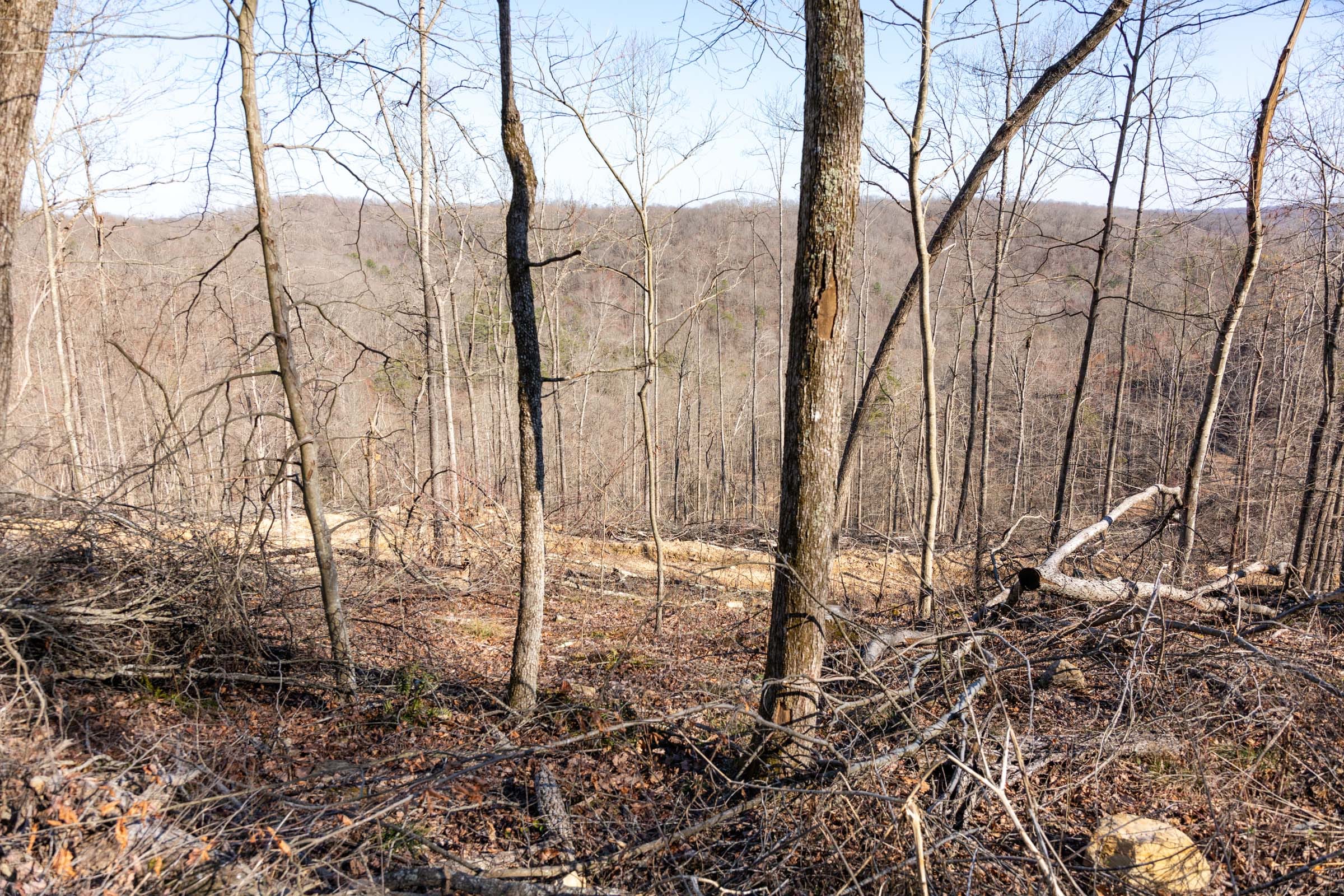 Creek Hollow Phase I Tract 18 photo 4