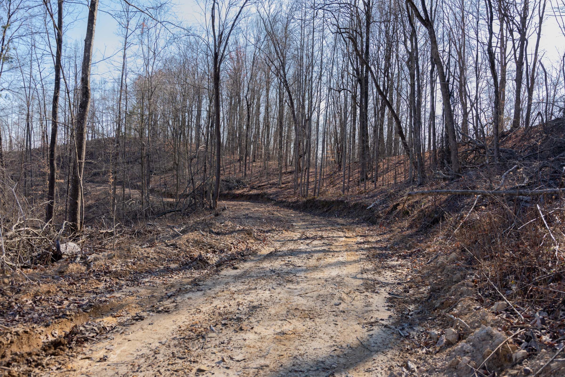 Creek Hollow Phase I Tract 18 photo 3