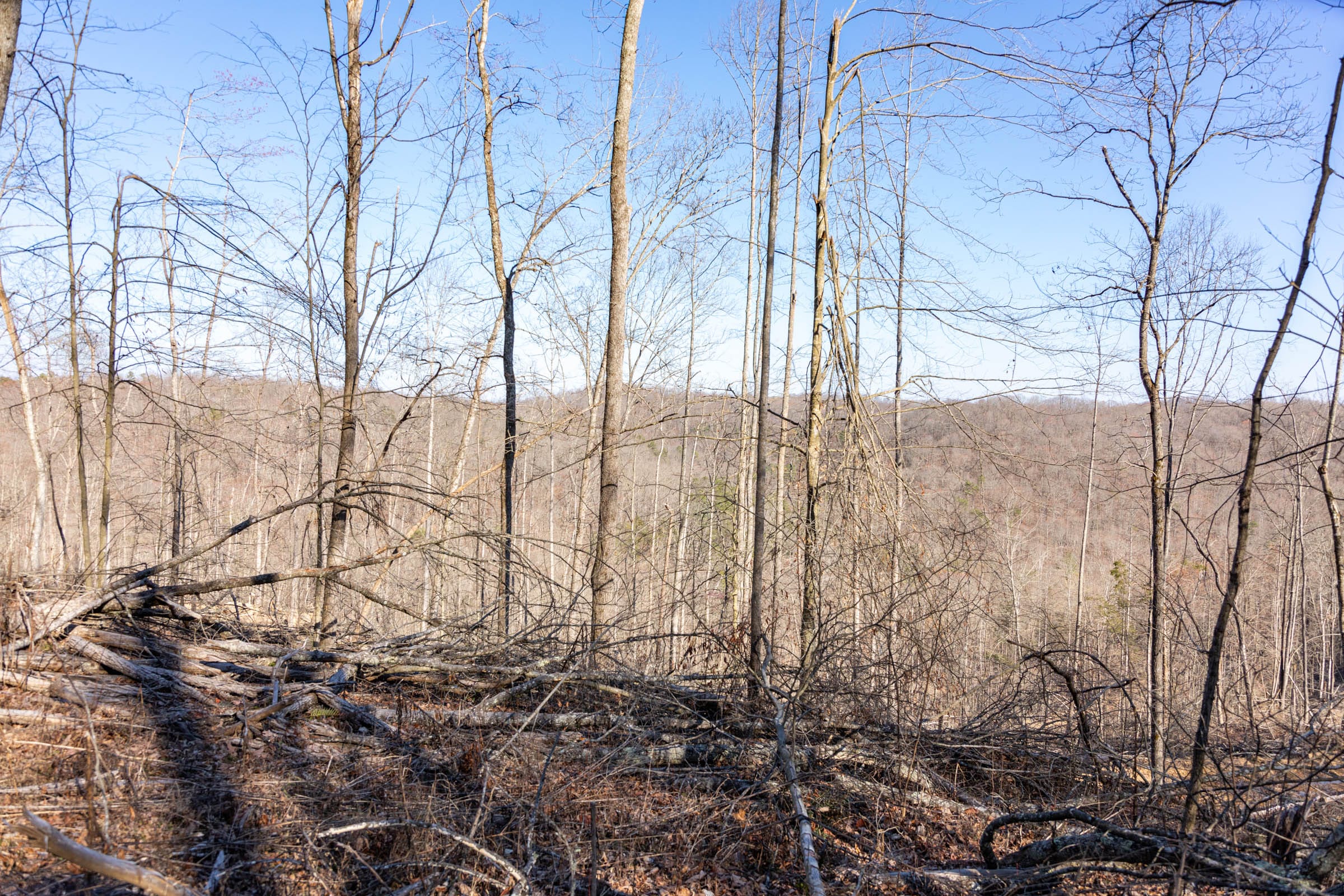 Creek Hollow Phase I Tract 18 photo 6