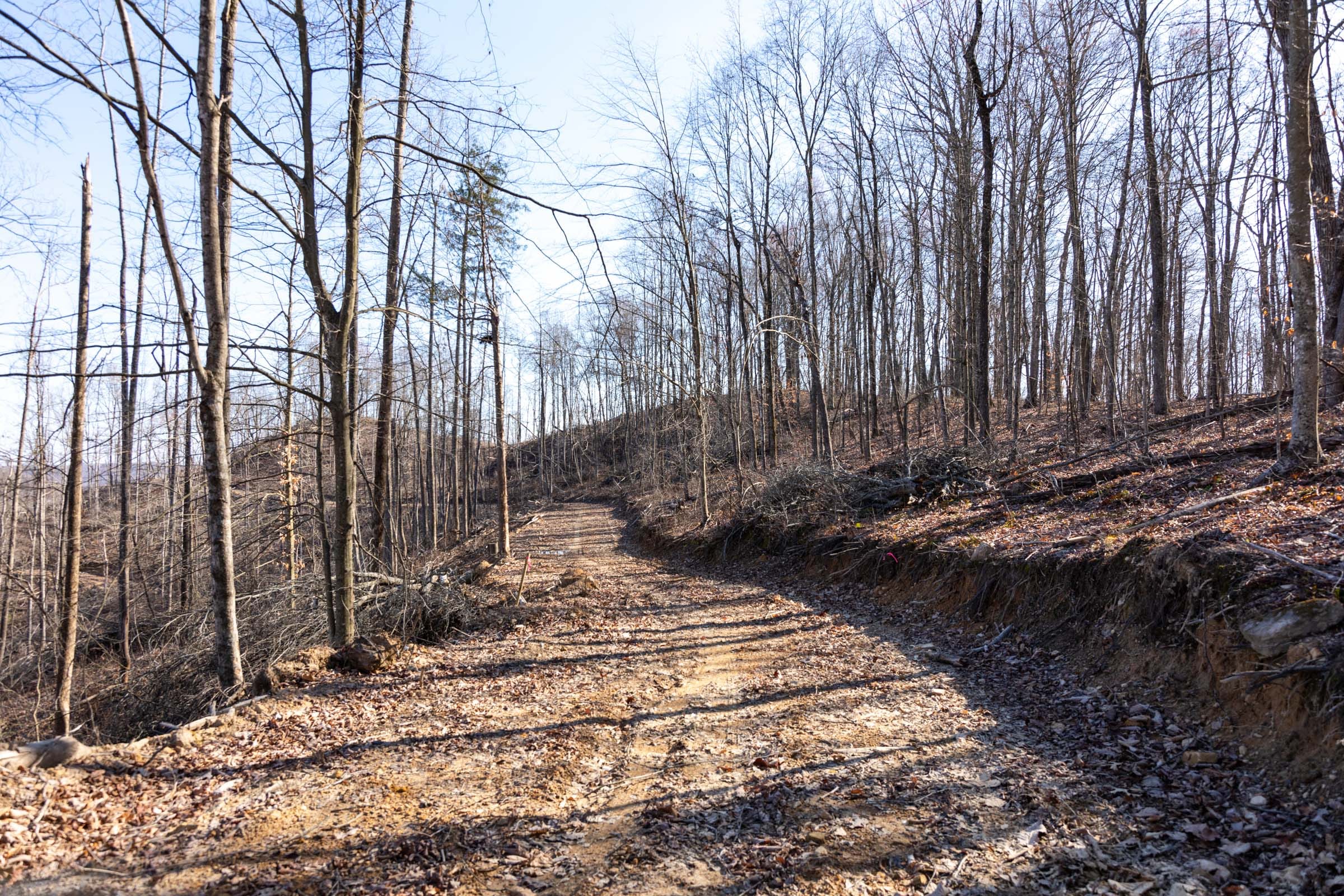 Creek Hollow Phase I Tract 18 photo 1