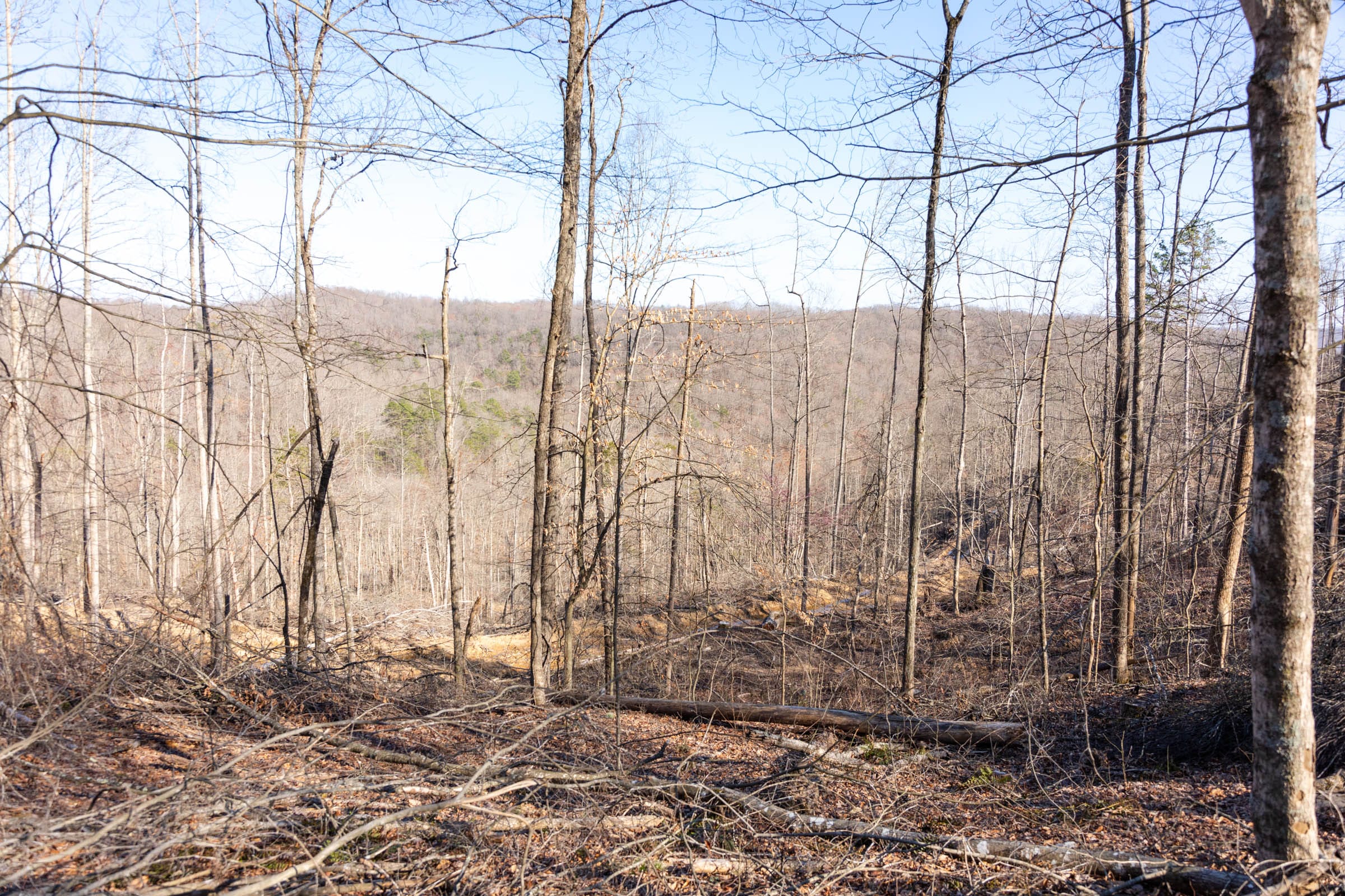 Creek Hollow Phase I Tract 18 photo 8