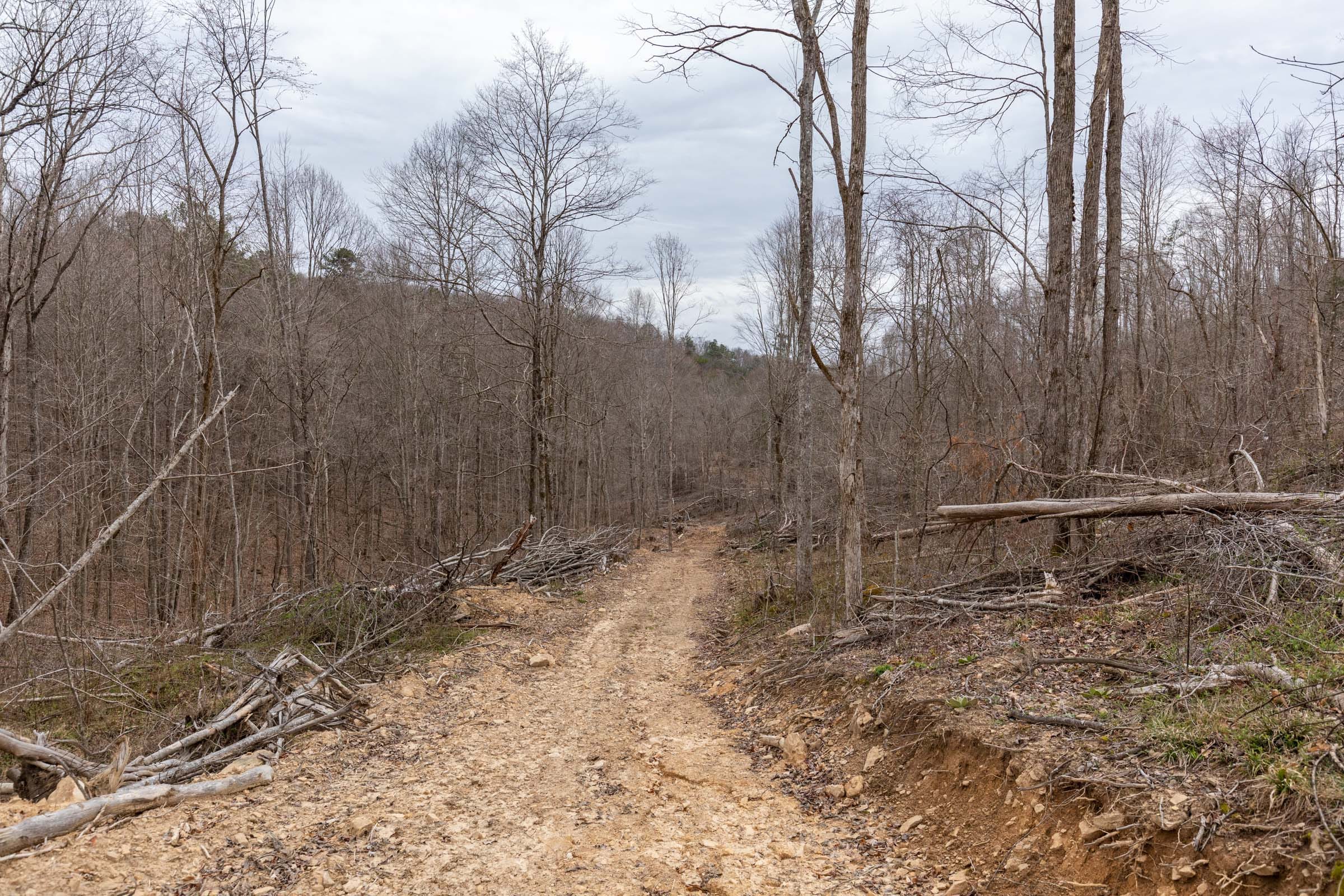 Creek Hollow Phase I Tract 18 photo 5