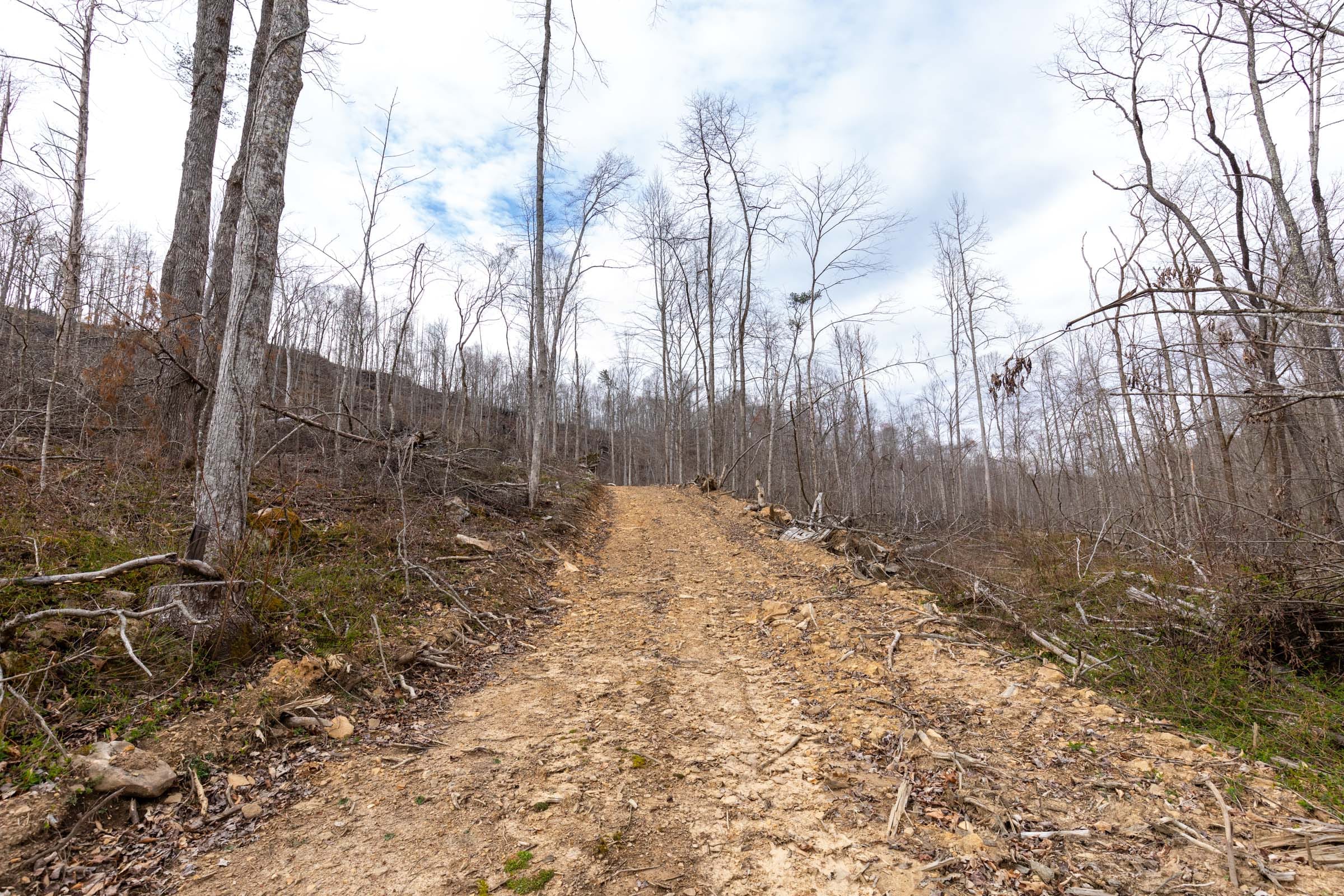 Creek Hollow Phase I Tract 18 photo 7