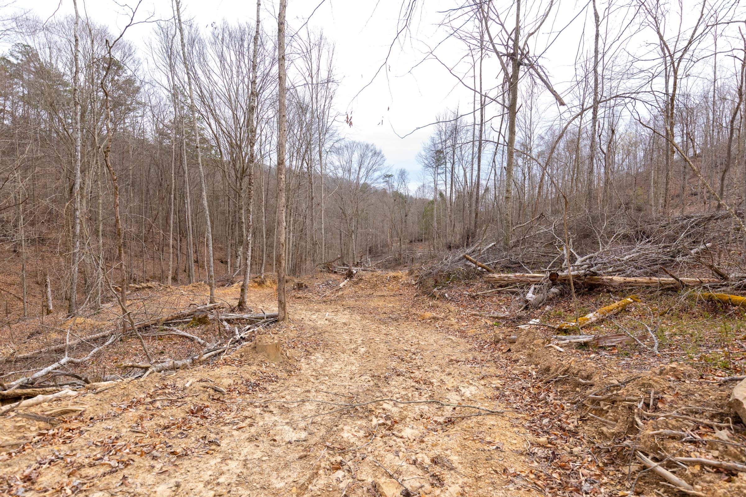 Creek Hollow Phase I Tract 18 photo 9