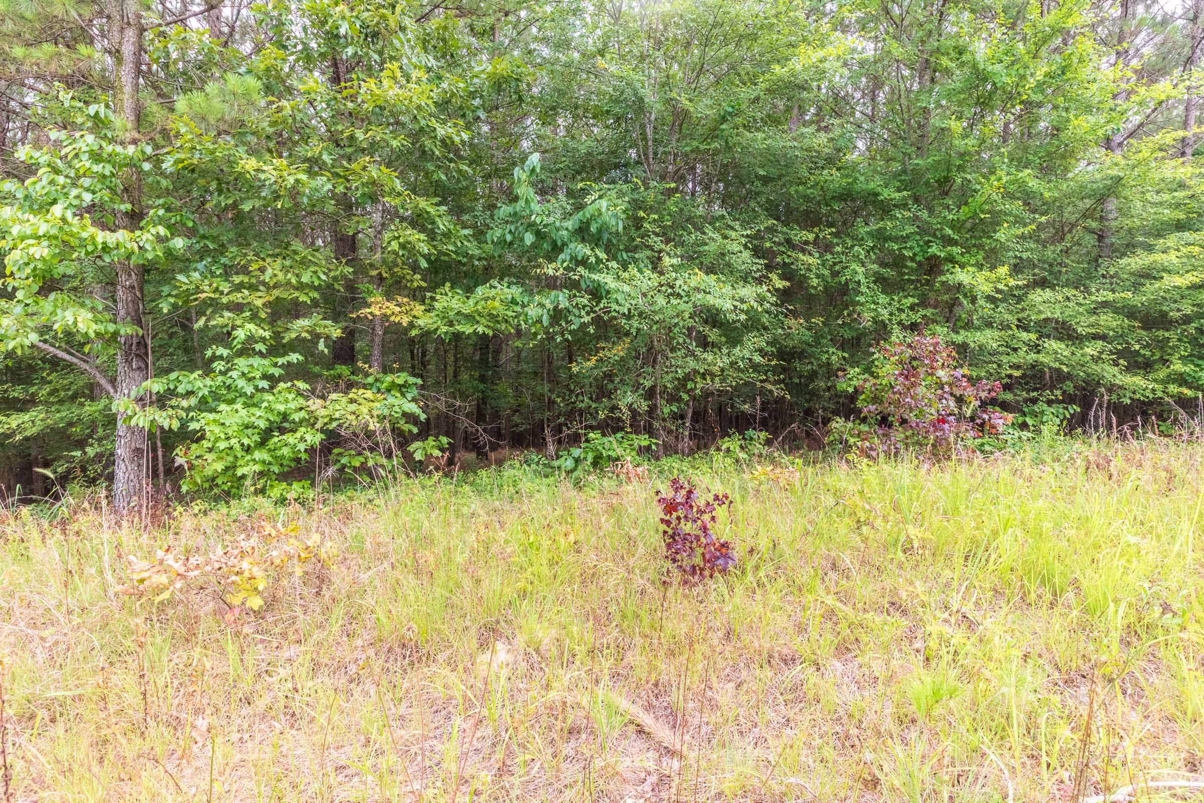 Whiskey Ridge Tract 43 photo 1