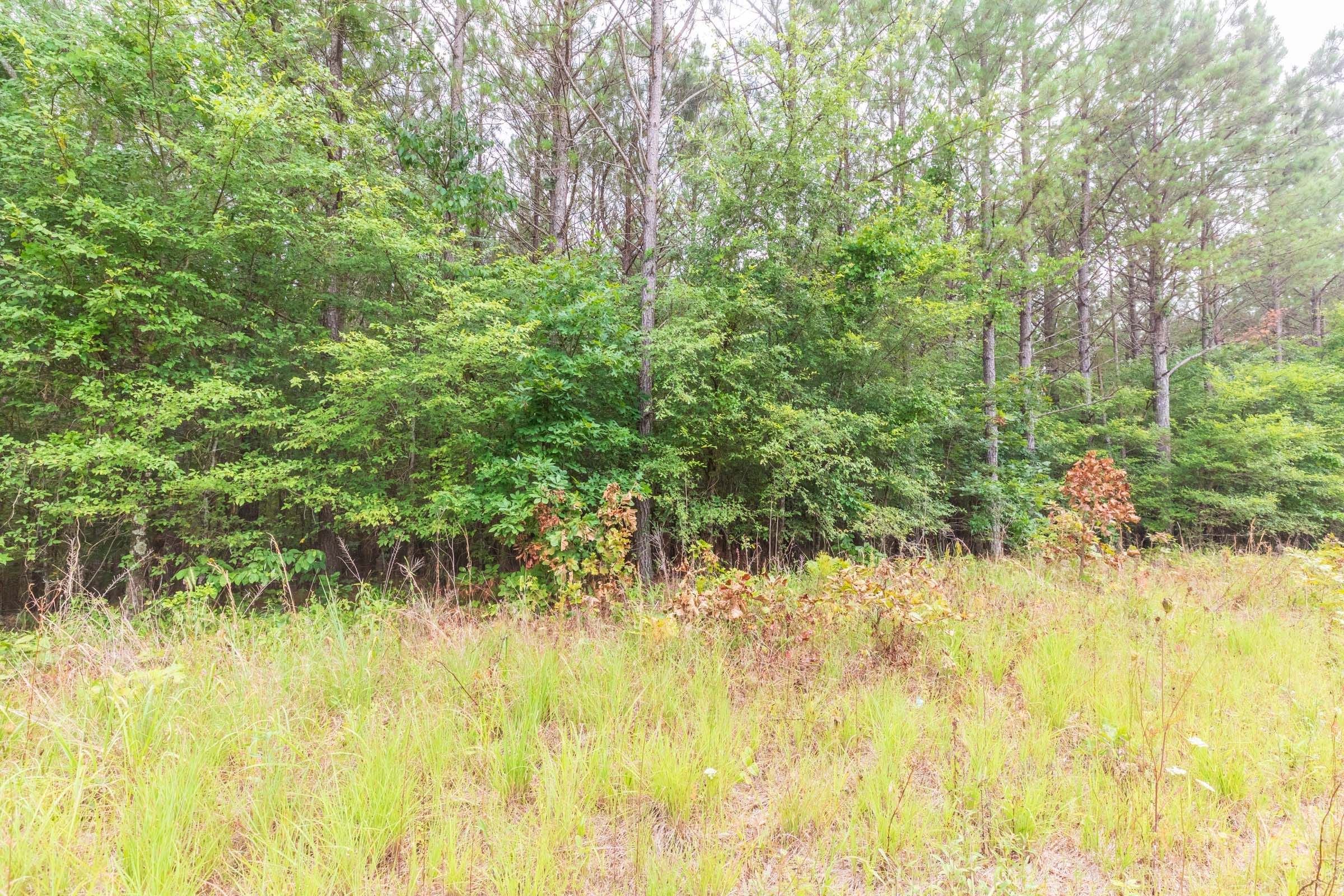 Whiskey Ridge Tract 43 photo 3