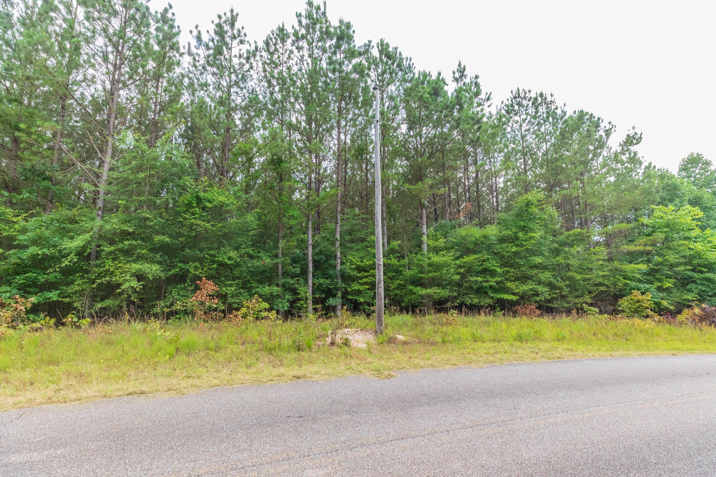 Whiskey Ridge Tract 43 photo 4
