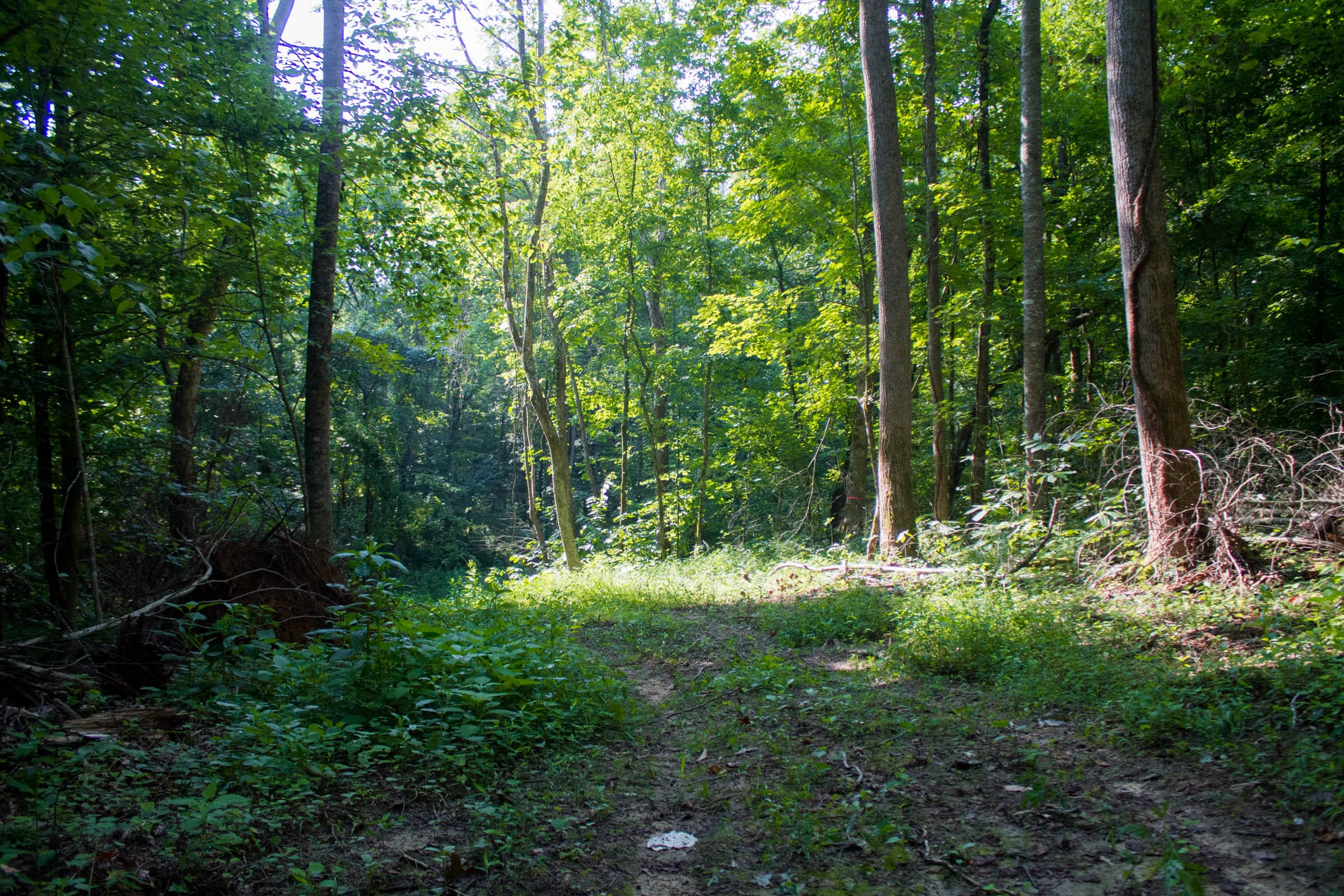 Bluewater Ridge Tract 29 photo 1