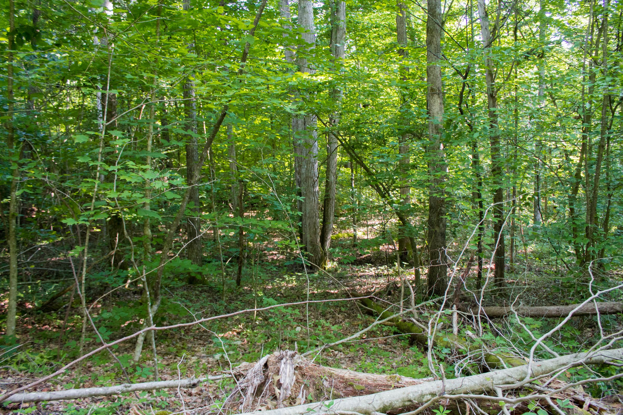 Bluewater Ridge Tract 29 photo 2