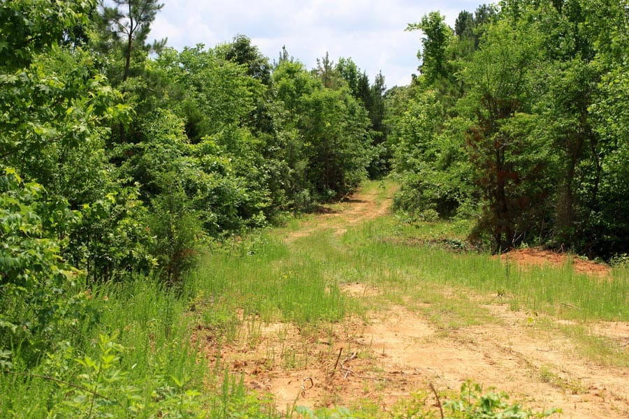 Bluebird Ranch Tract 14 photo 1