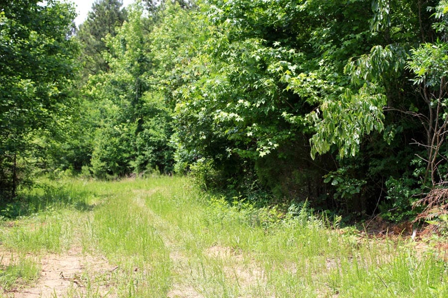 Bluebird Ranch Tract 14 photo 5