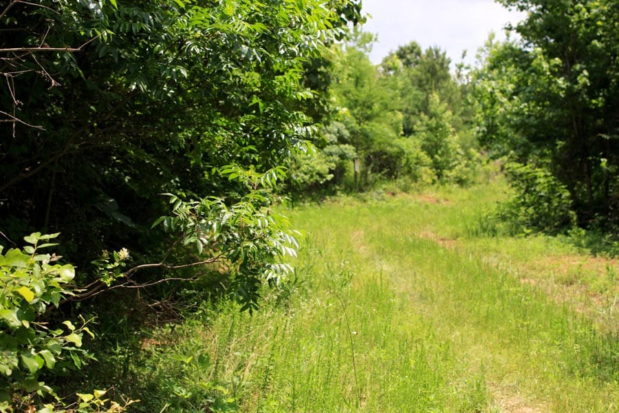 Bluebird Ranch Tract 14 photo 9