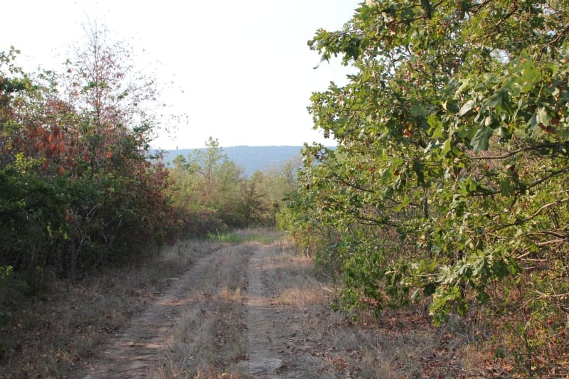 Lake View Ranch Tract 17 photo 2
