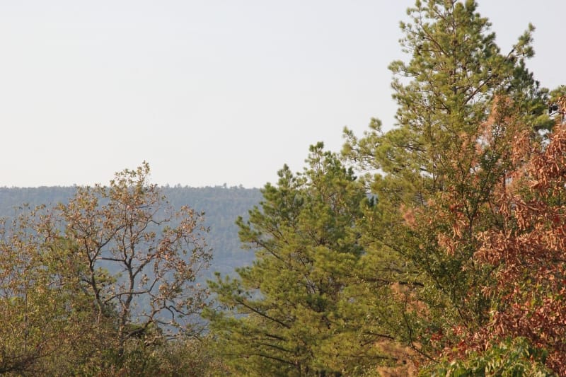 Lake View Ranch Tract 17 photo 3
