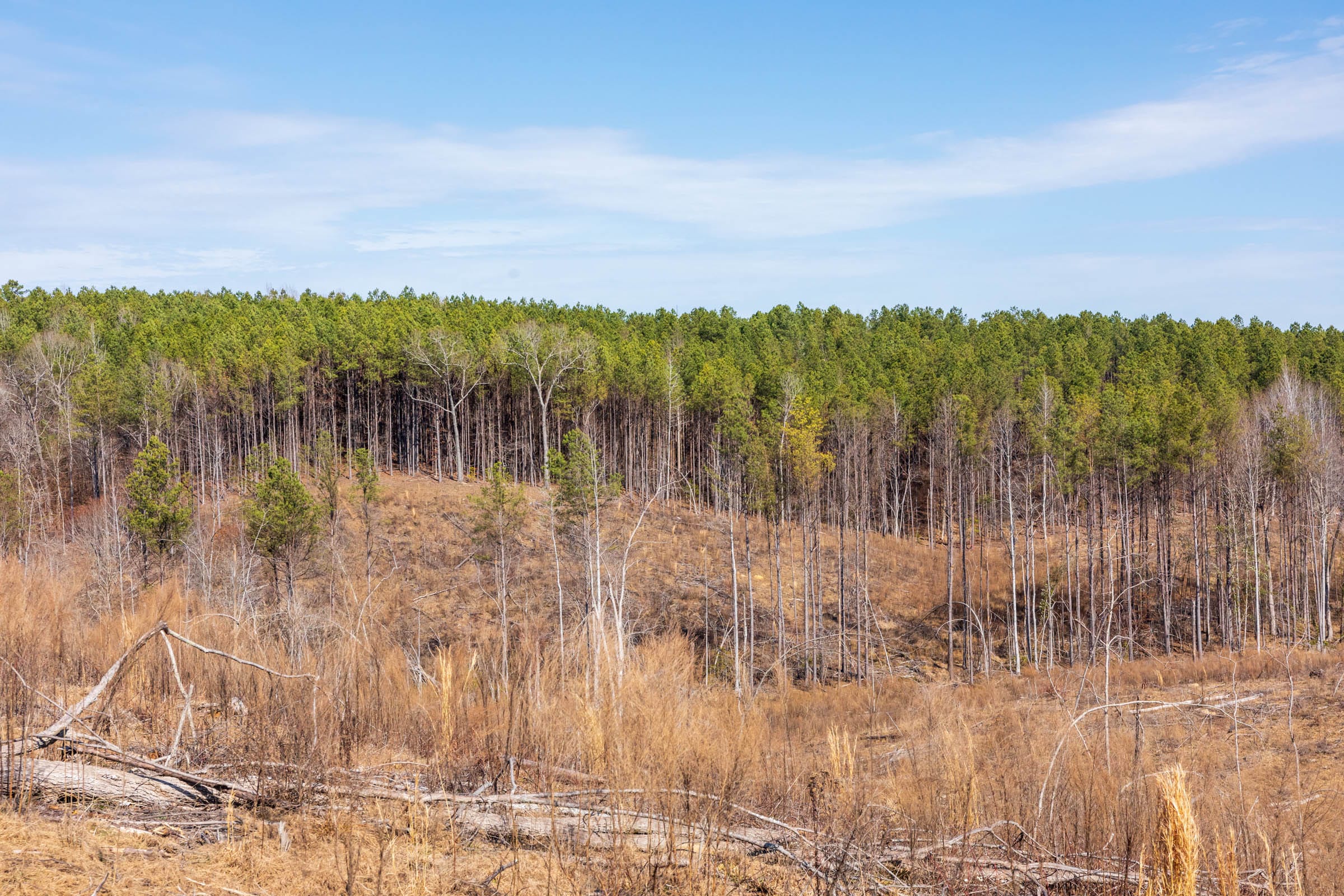 Fairview Hills Tract 7 photo 4