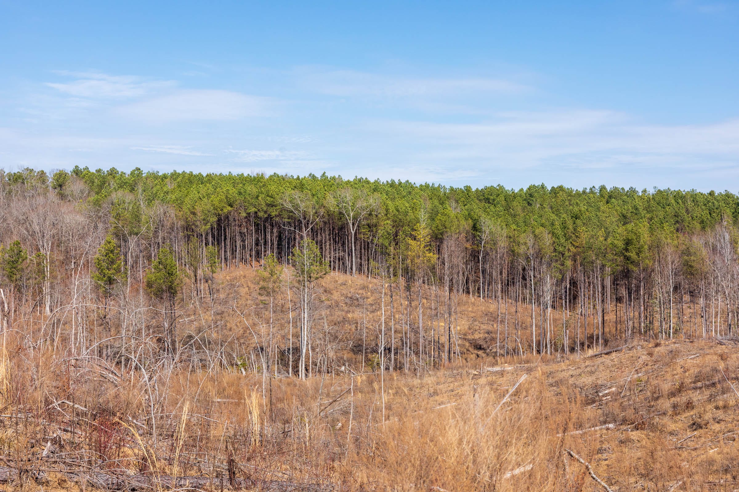 Fairview Hills Tract 7 photo 6