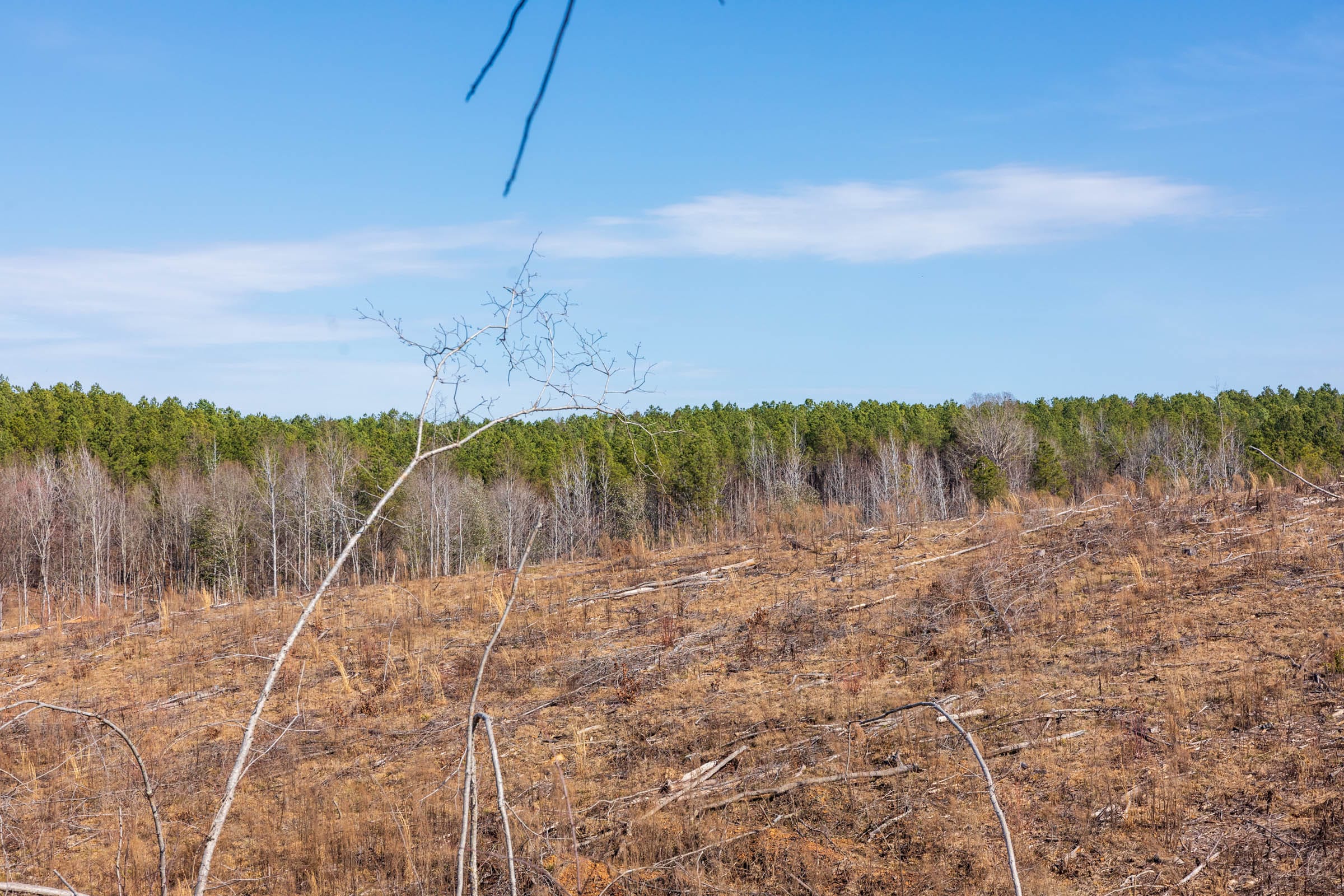 Fairview Hills Tract 7 photo 7