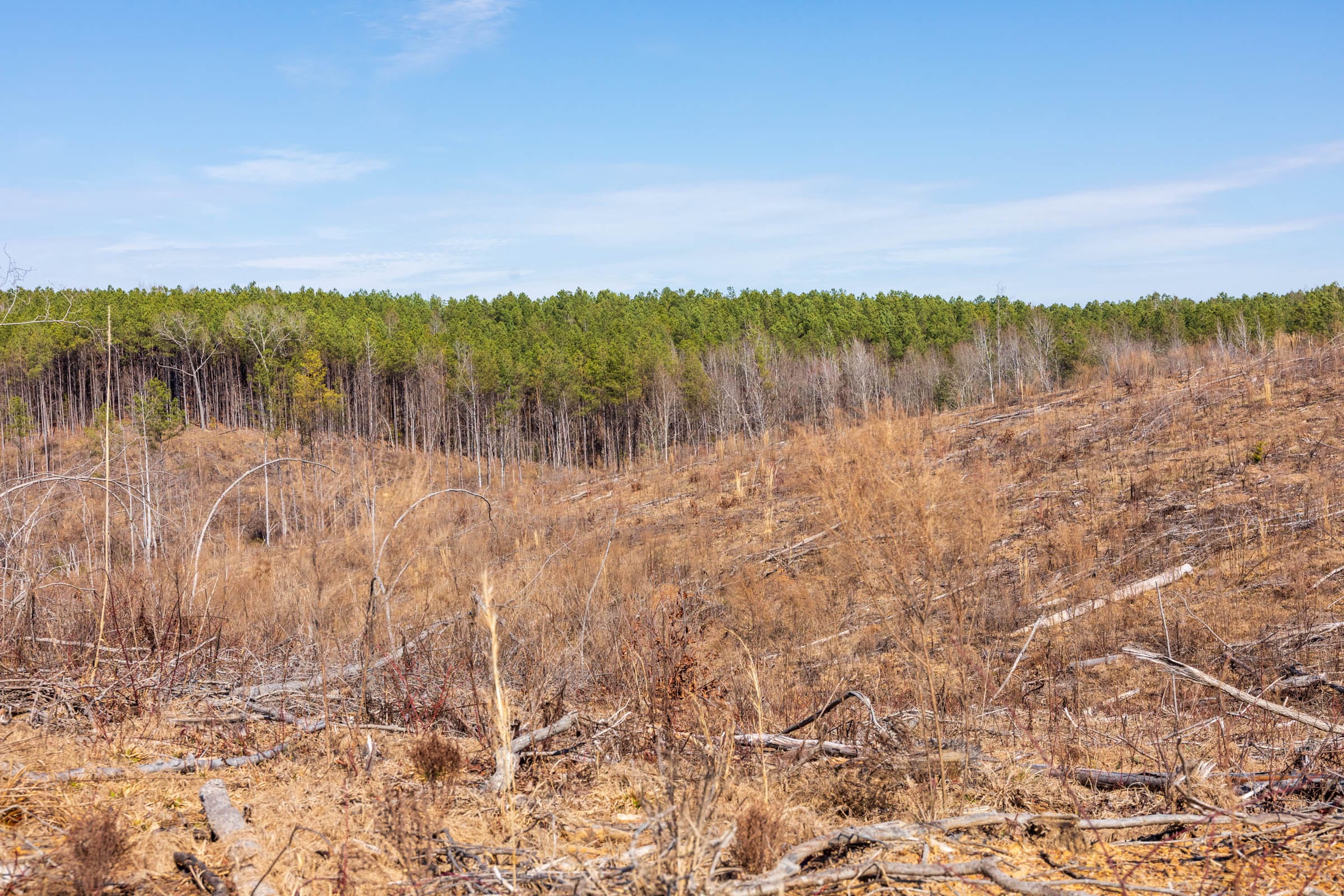 Fairview Hills Tract 7 photo 10