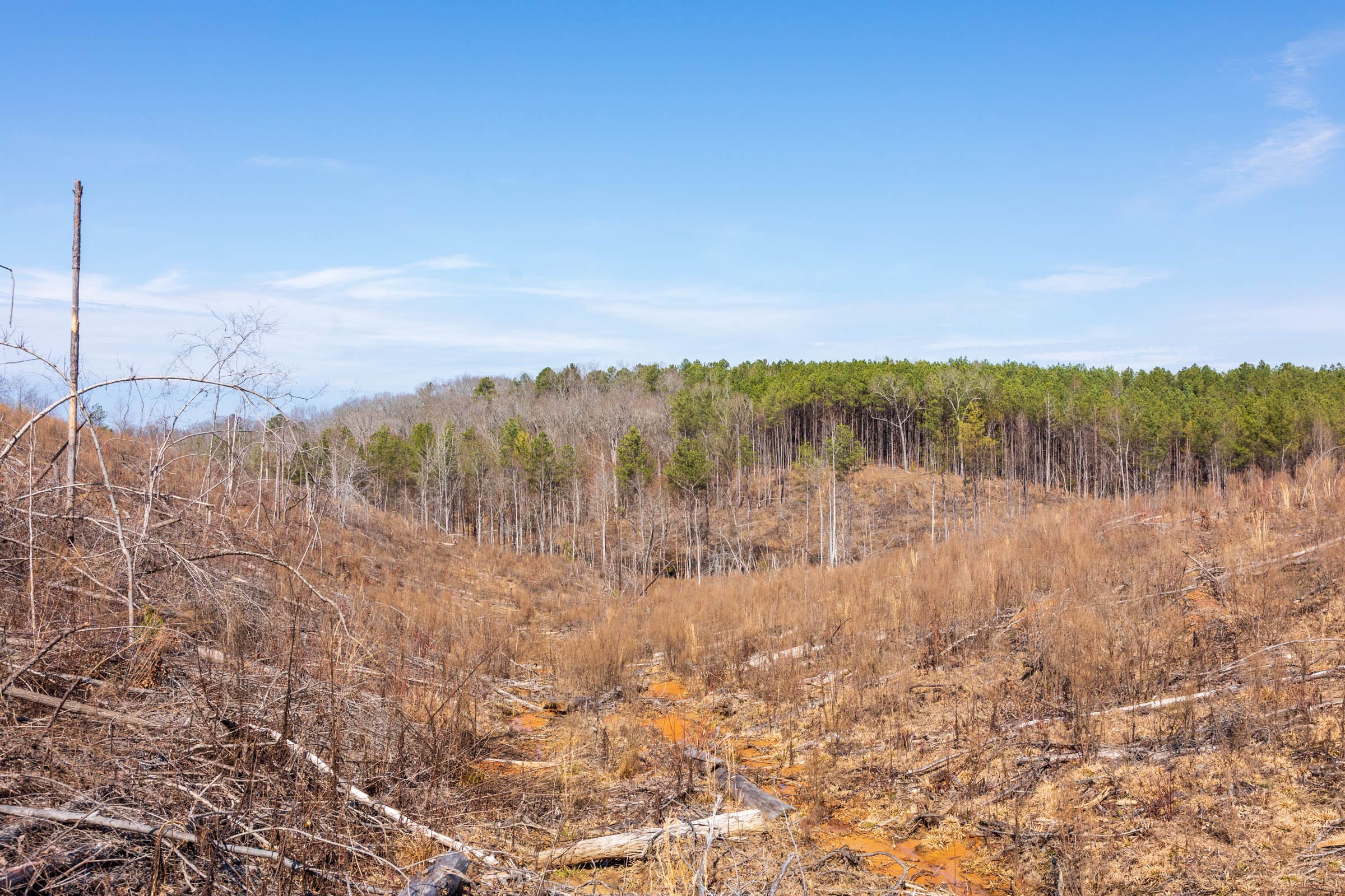 Fairview Hills Tract 7 photo 11