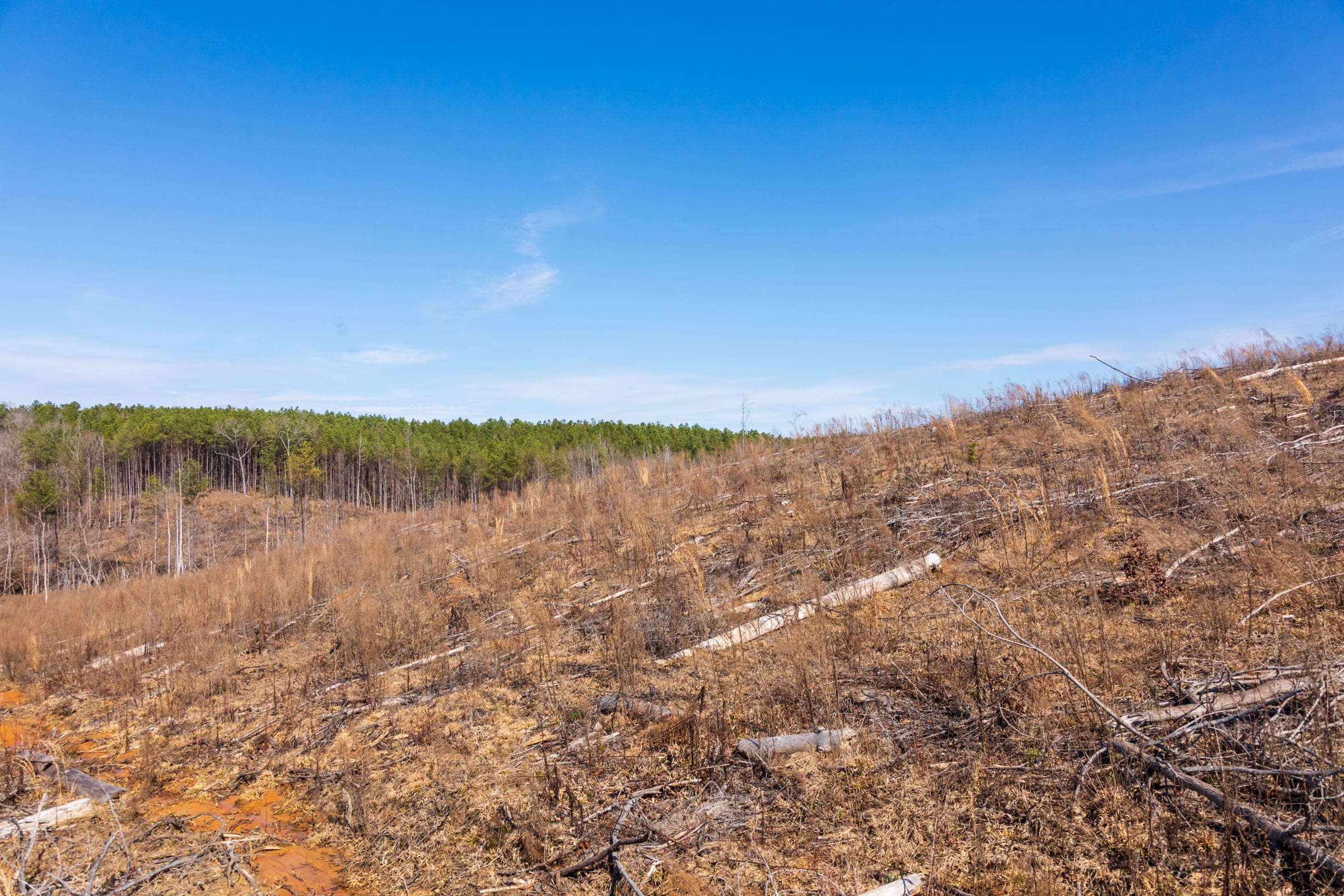 Fairview Hills Tract 7 photo 12