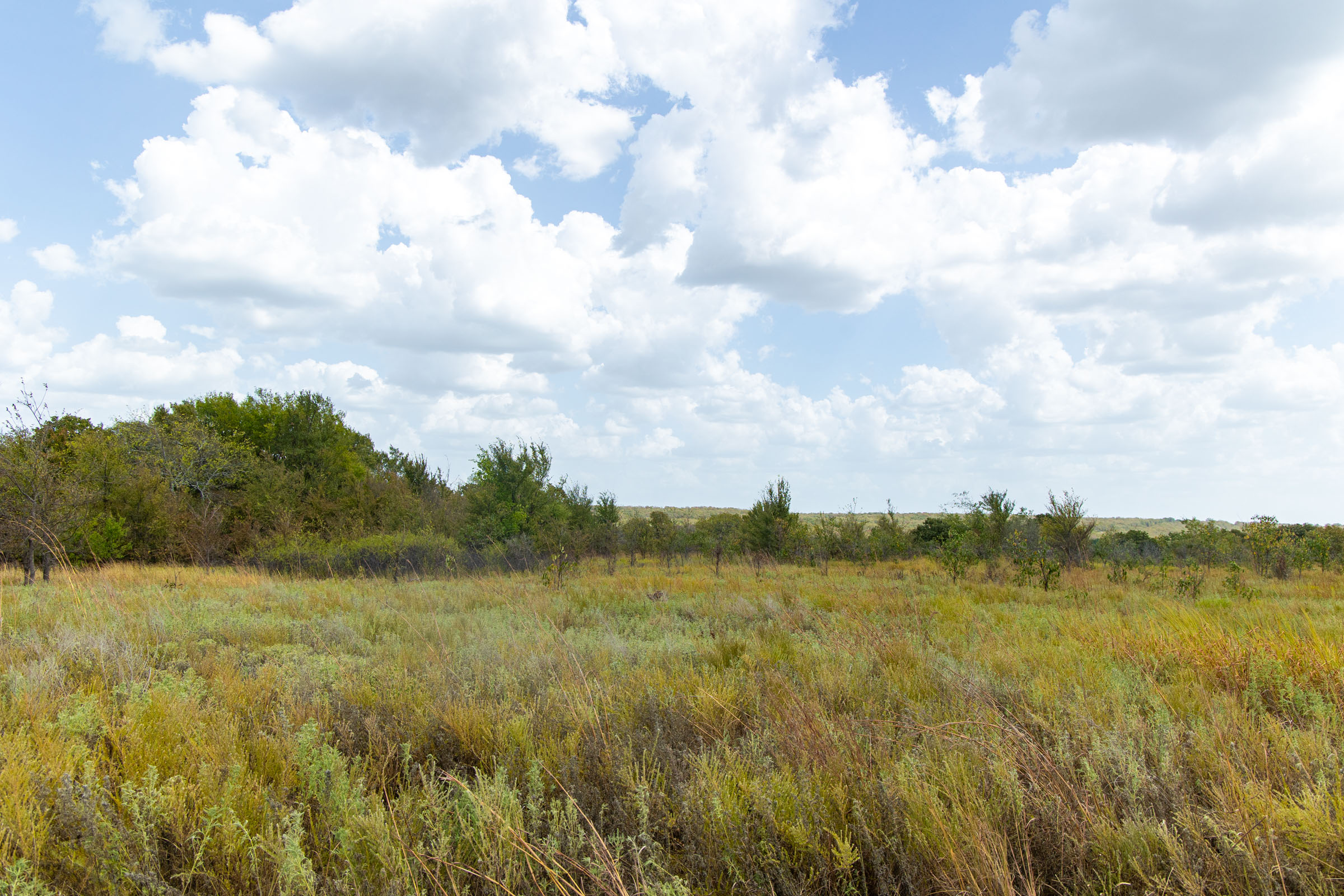 Gracyn Meadows Tract 15 photo 4