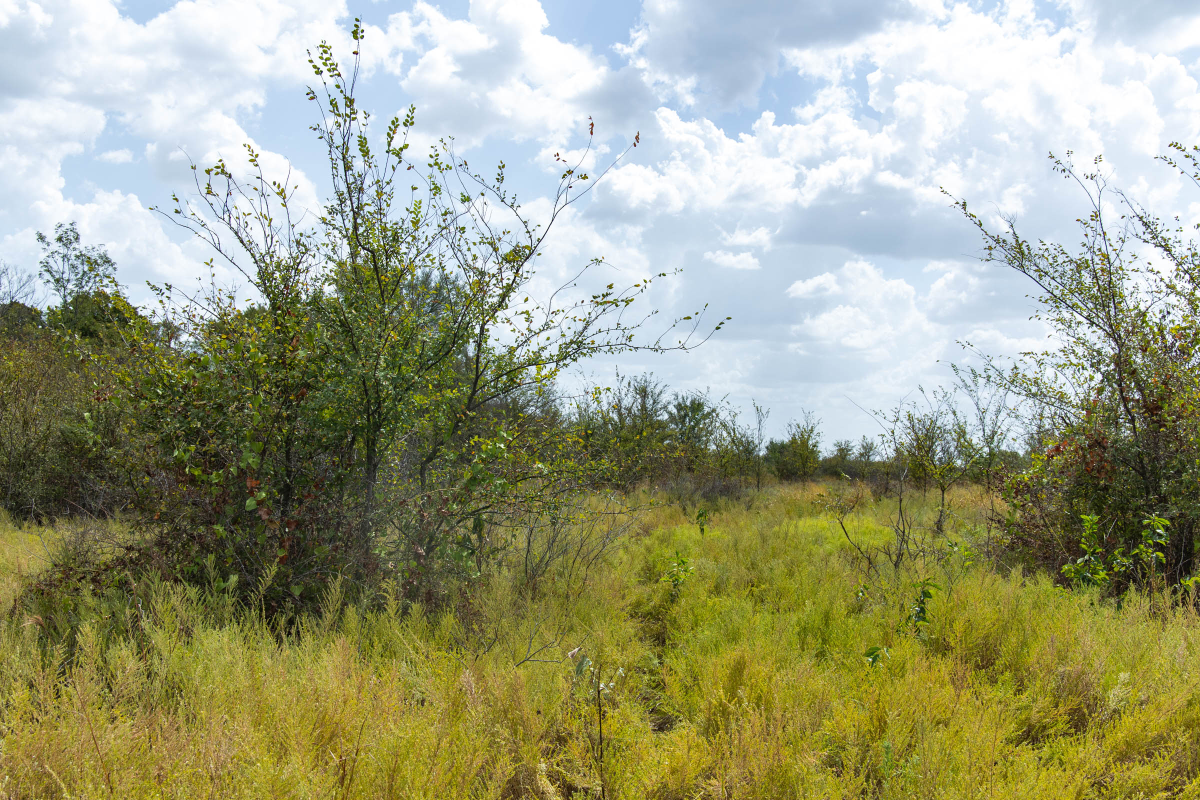 Gracyn Meadows Tract 15 photo 8