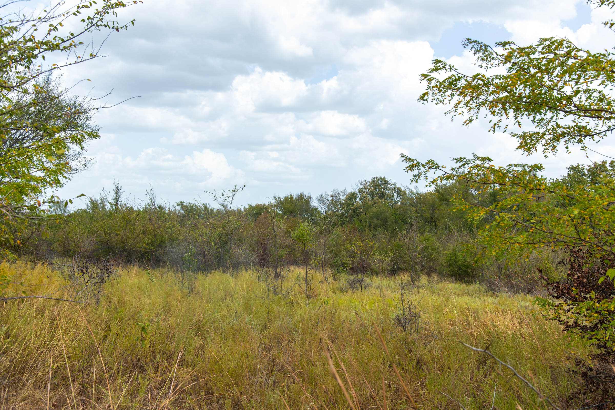 Gracyn Meadows Tract 15 photo 5