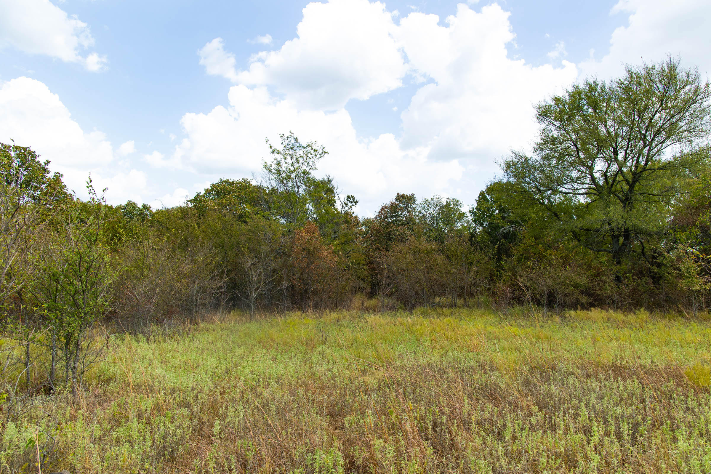 Gracyn Meadows Tract 15 photo 7