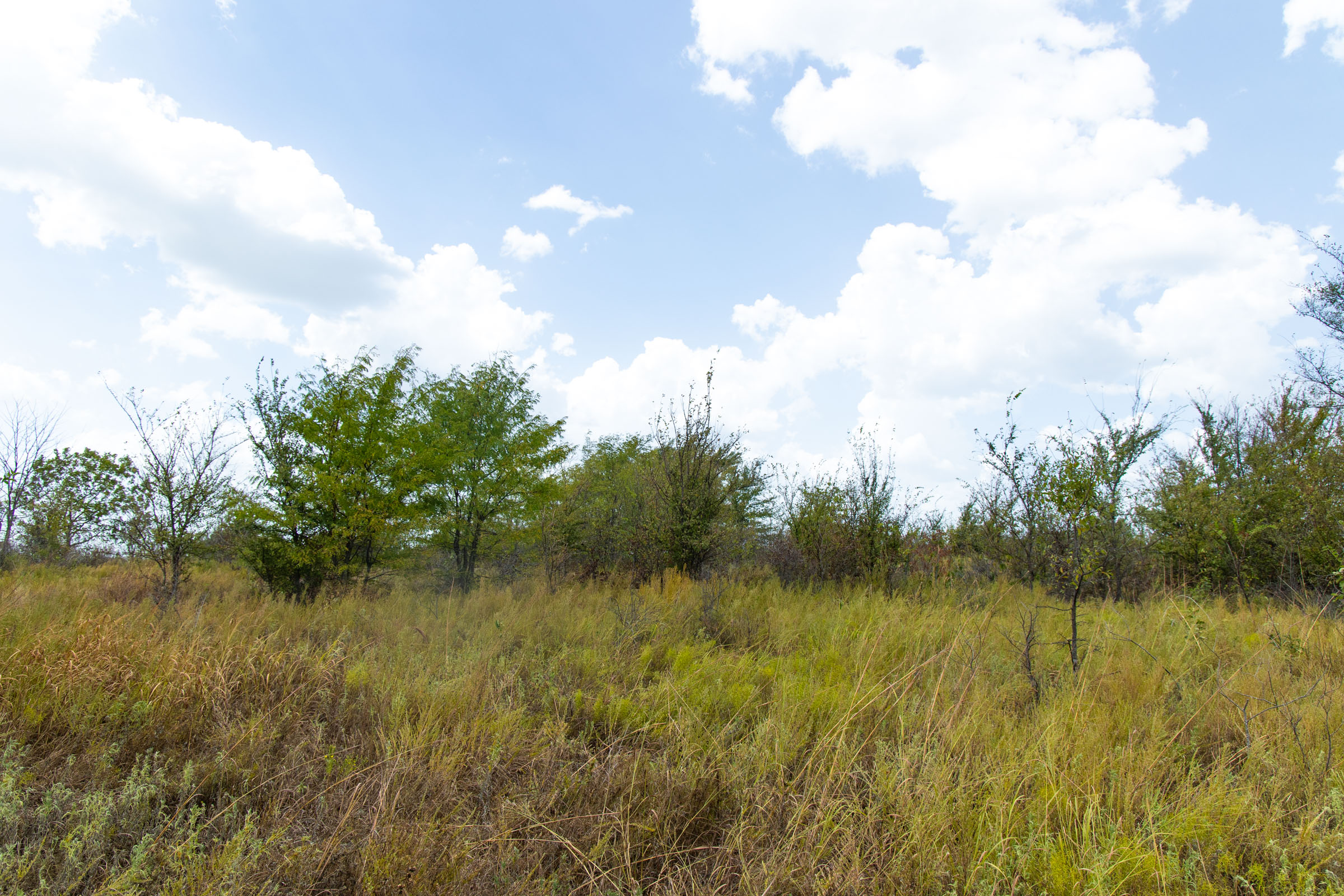 Gracyn Meadows Tract 15 photo 10