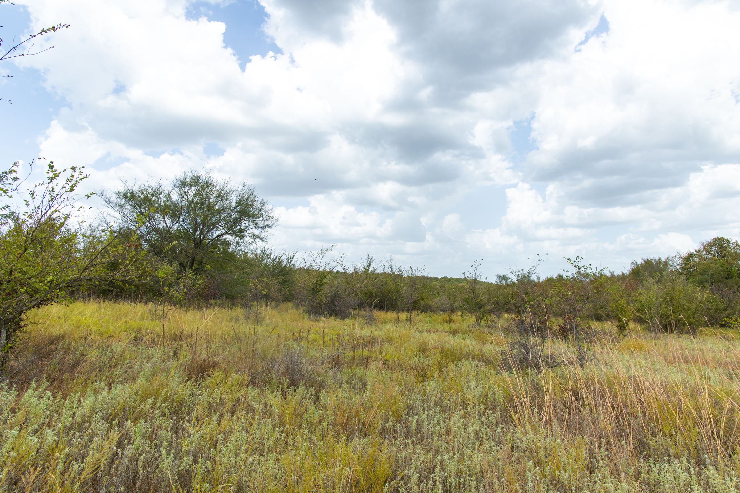 Gracyn Meadows Tract 15 photo 2