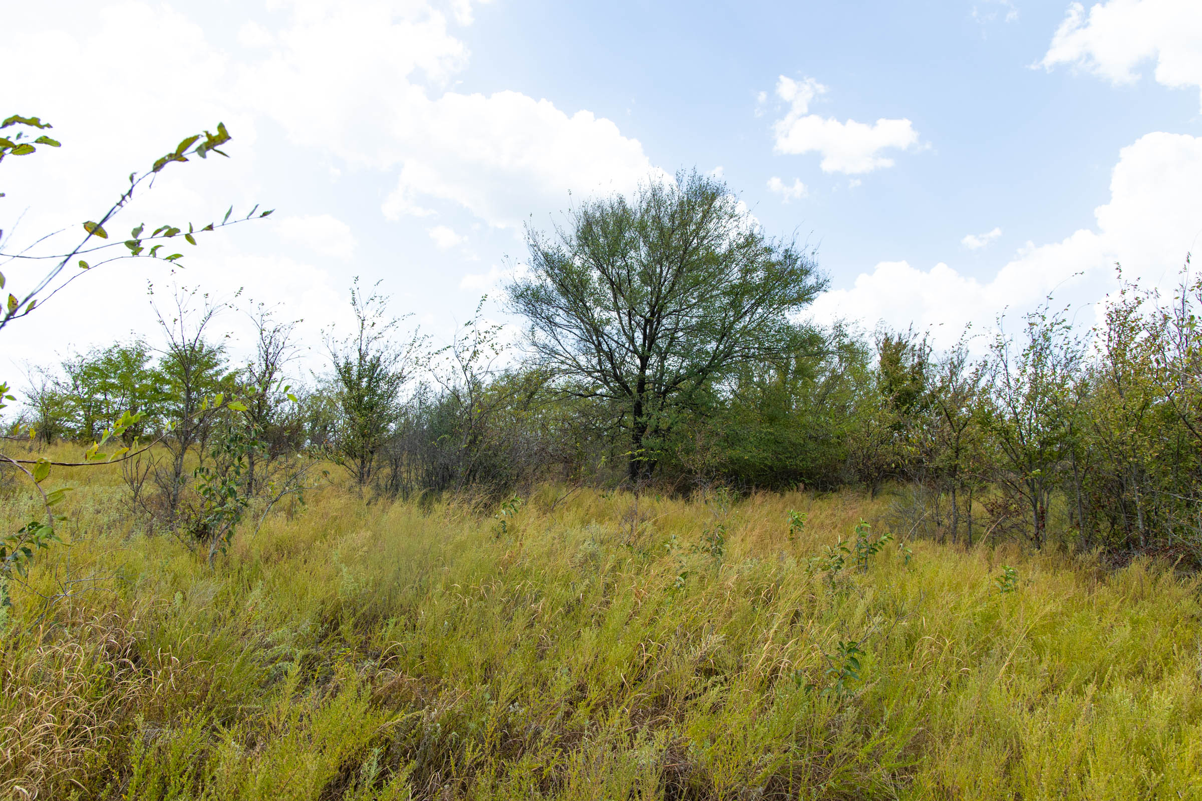 Gracyn Meadows Tract 15 photo 11