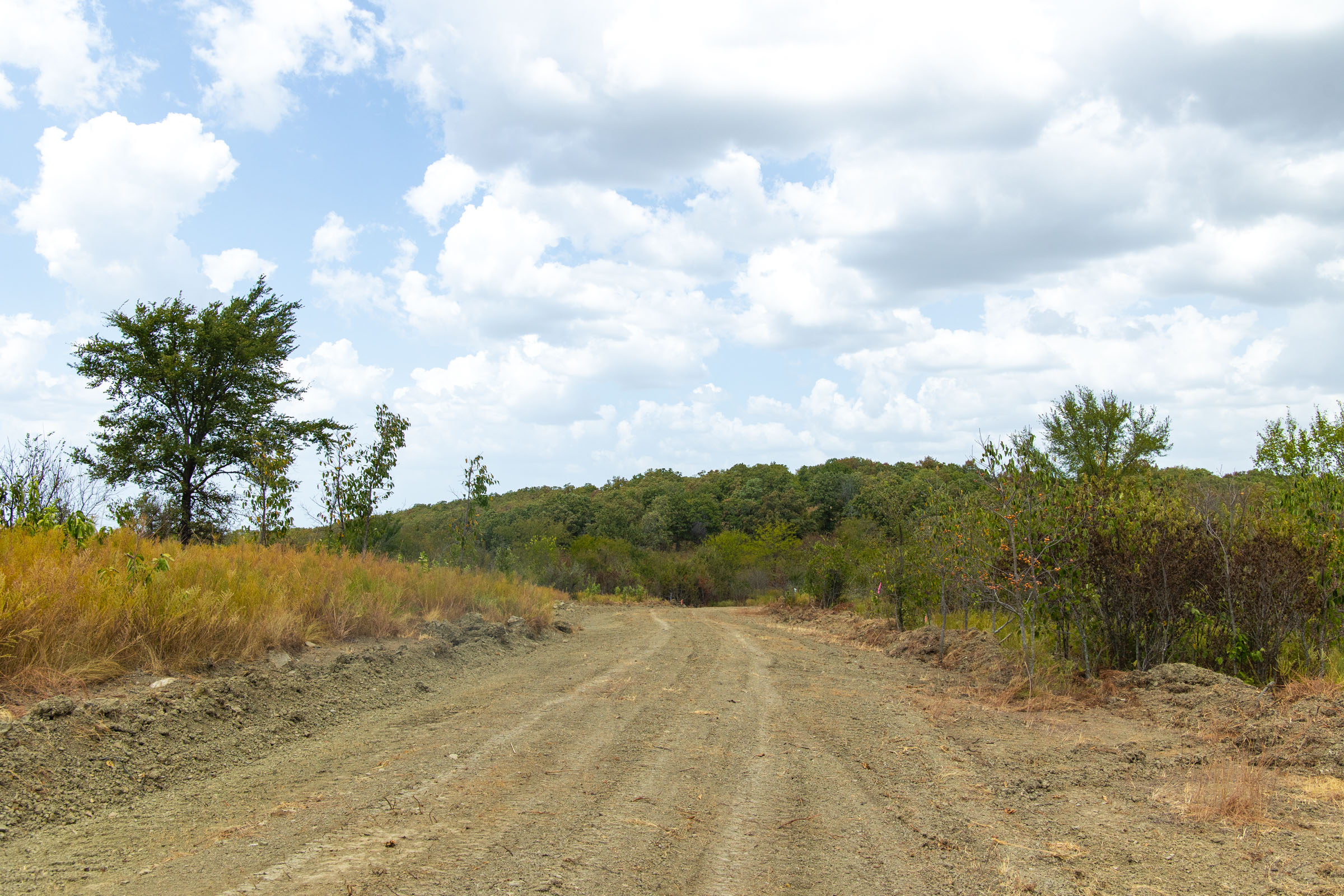 Gracyn Meadows Tract 15 photo 9