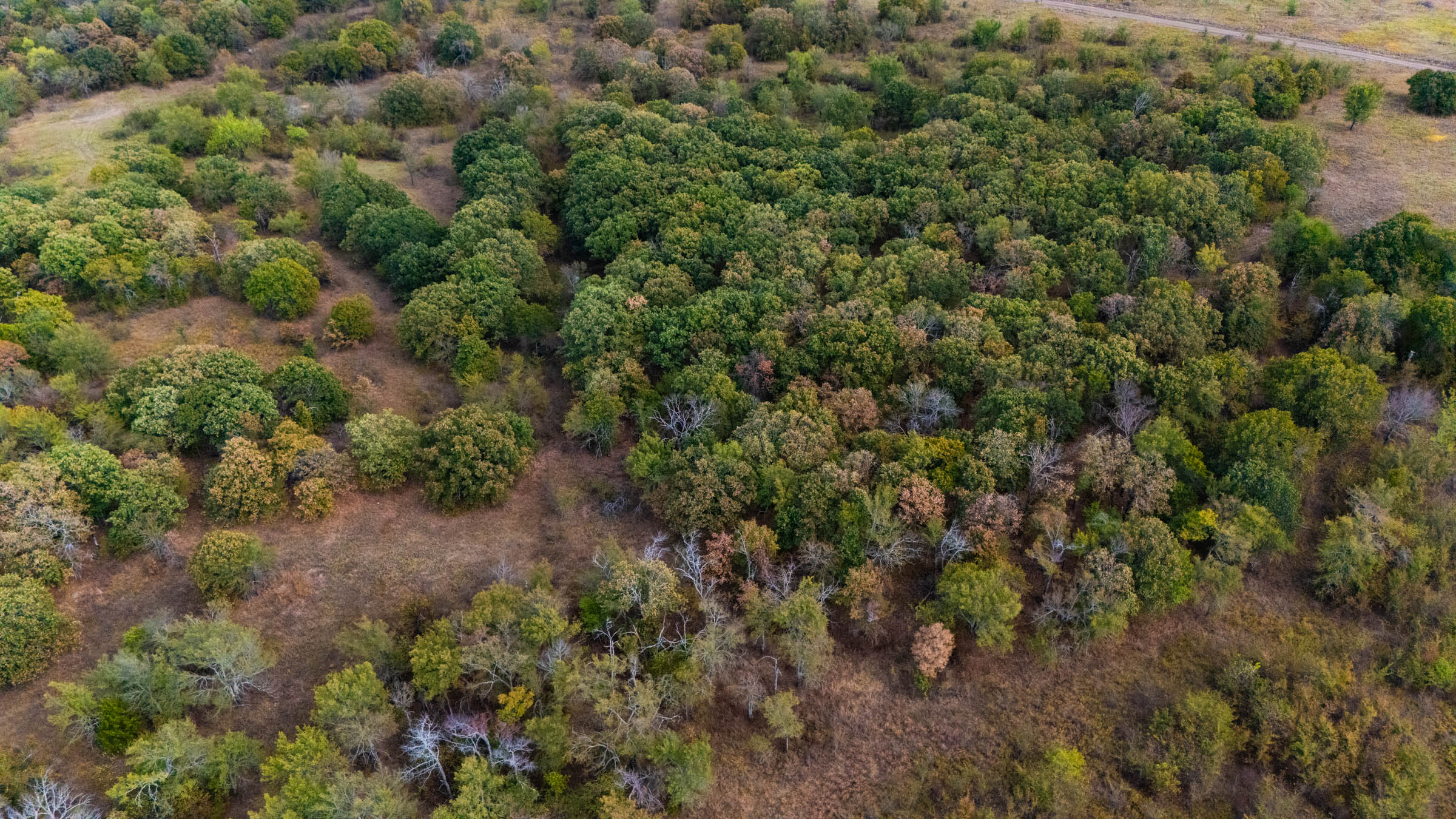 Gracyn Meadows Tract 15 photo 1