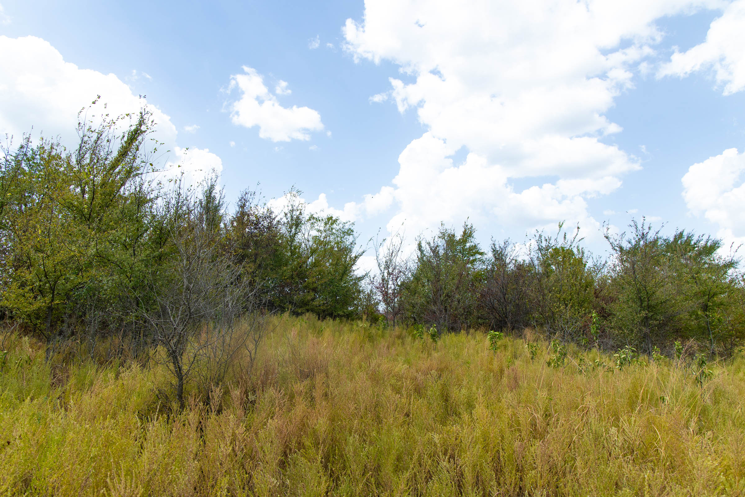 Gracyn Meadows Tract 15 photo 12