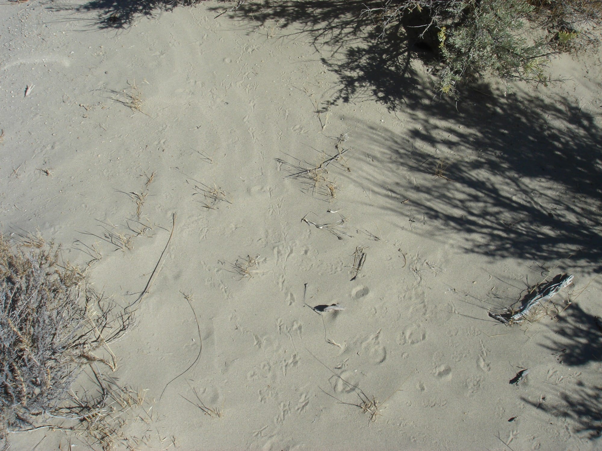 Humboldt County Tract 6 photo 5