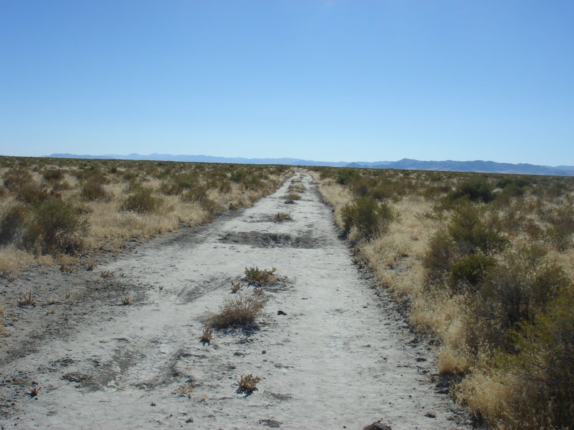 Humboldt County Tract 6 photo 22