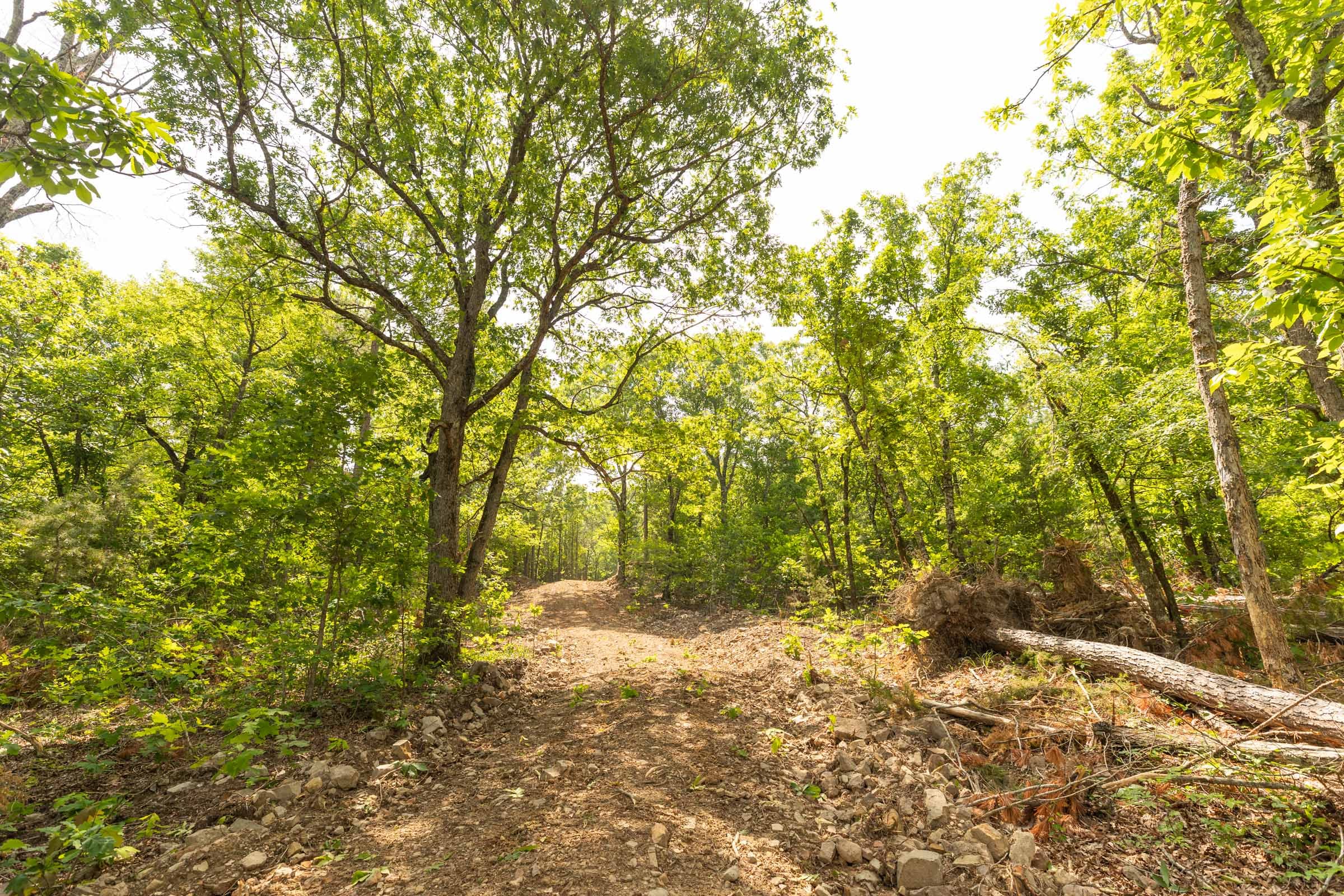 Stone Bridge Reserve Tract 32 photo 16