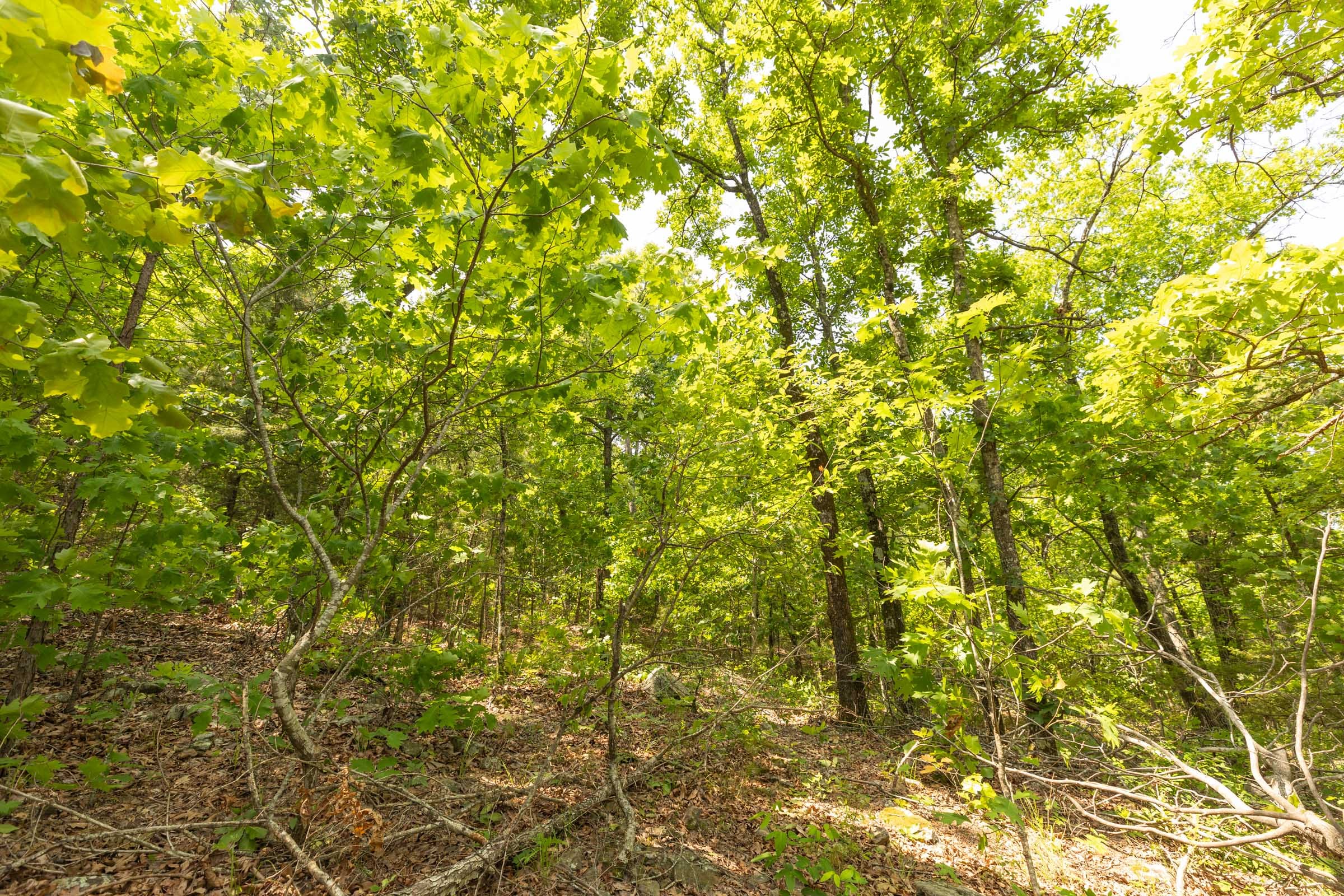Stone Bridge Reserve Tract 32 photo 15